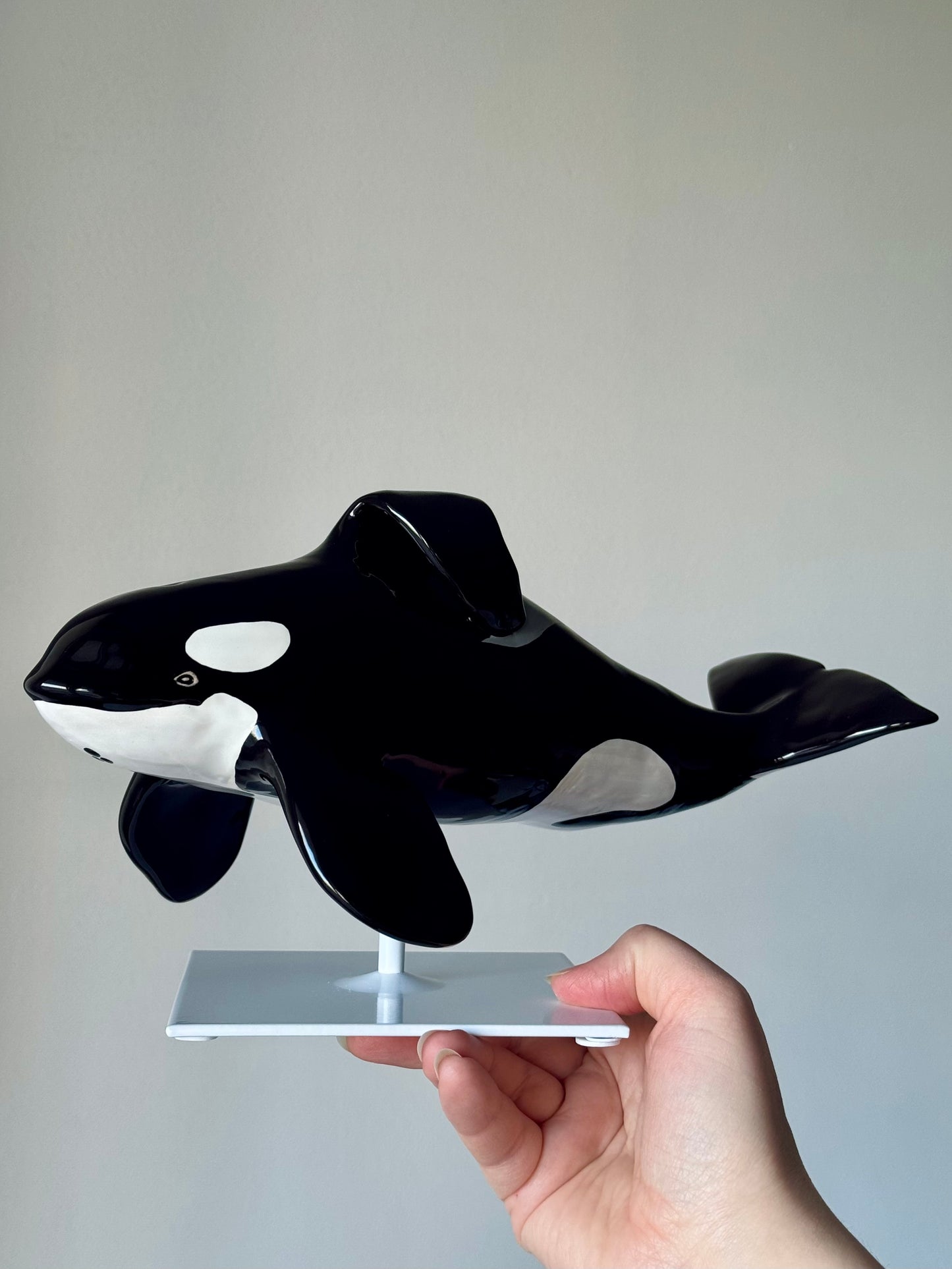 Orca Willy