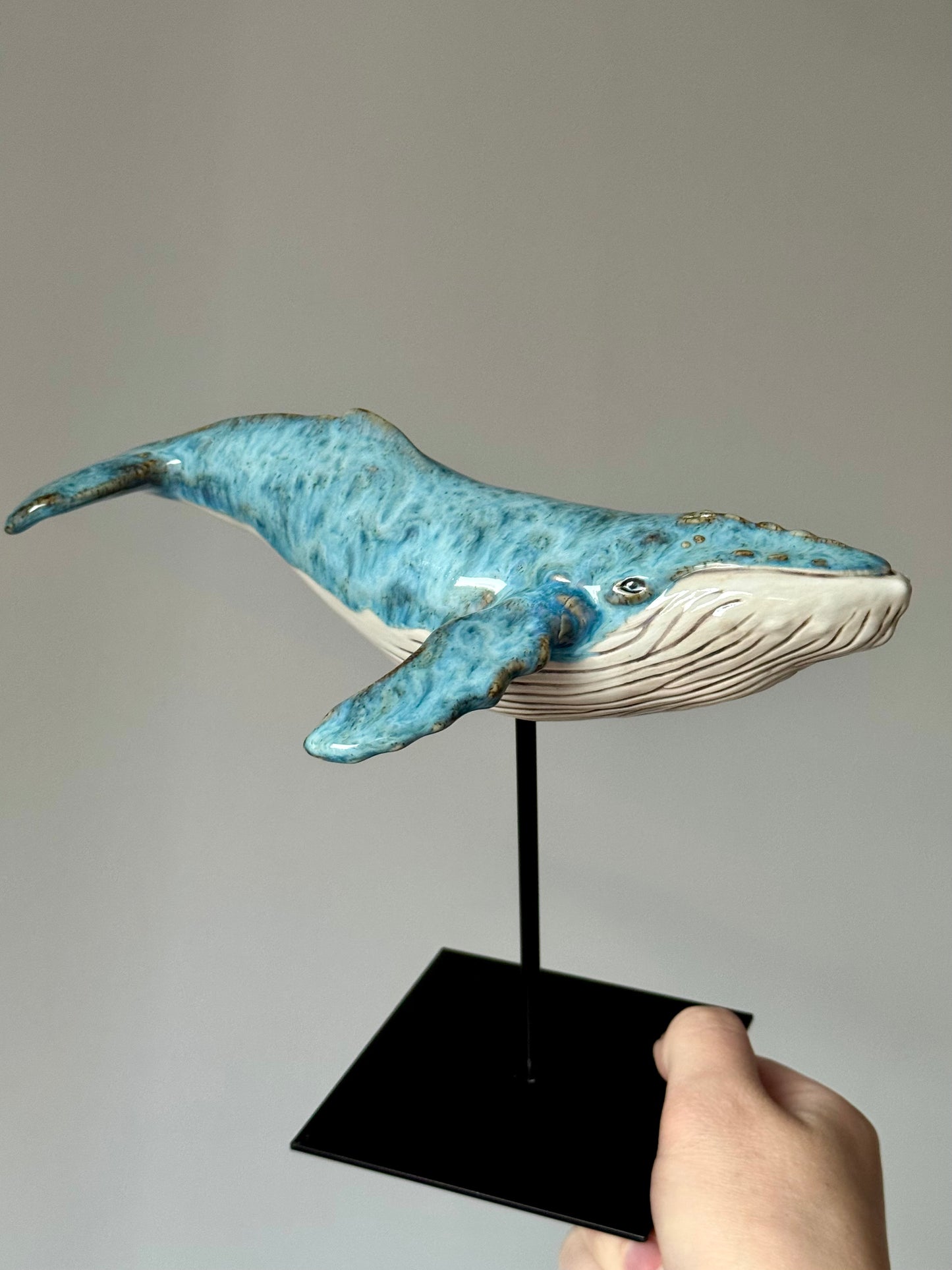 Baby Humpback Whale