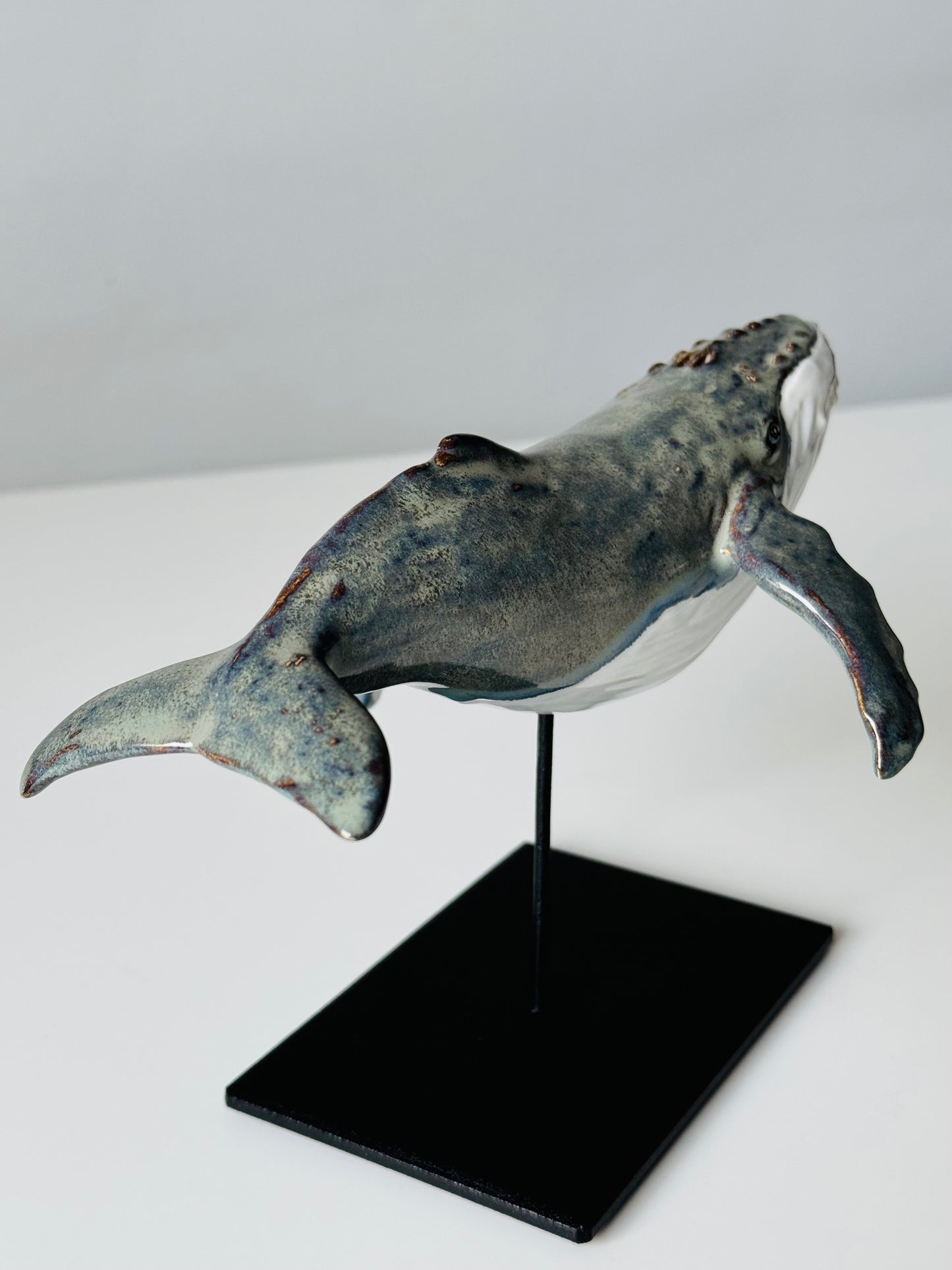 Baby Humpback Whale