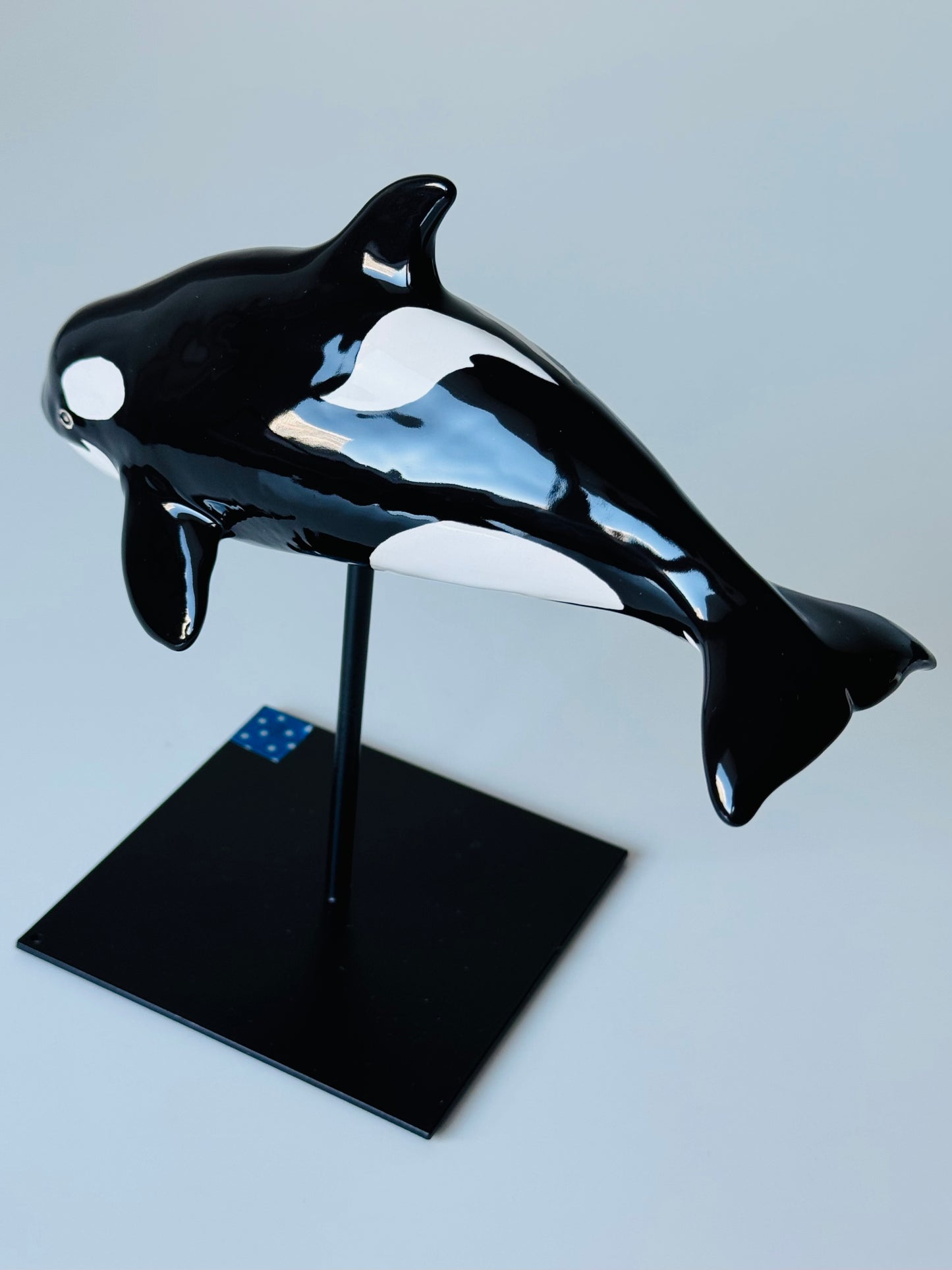 Baby Orca
