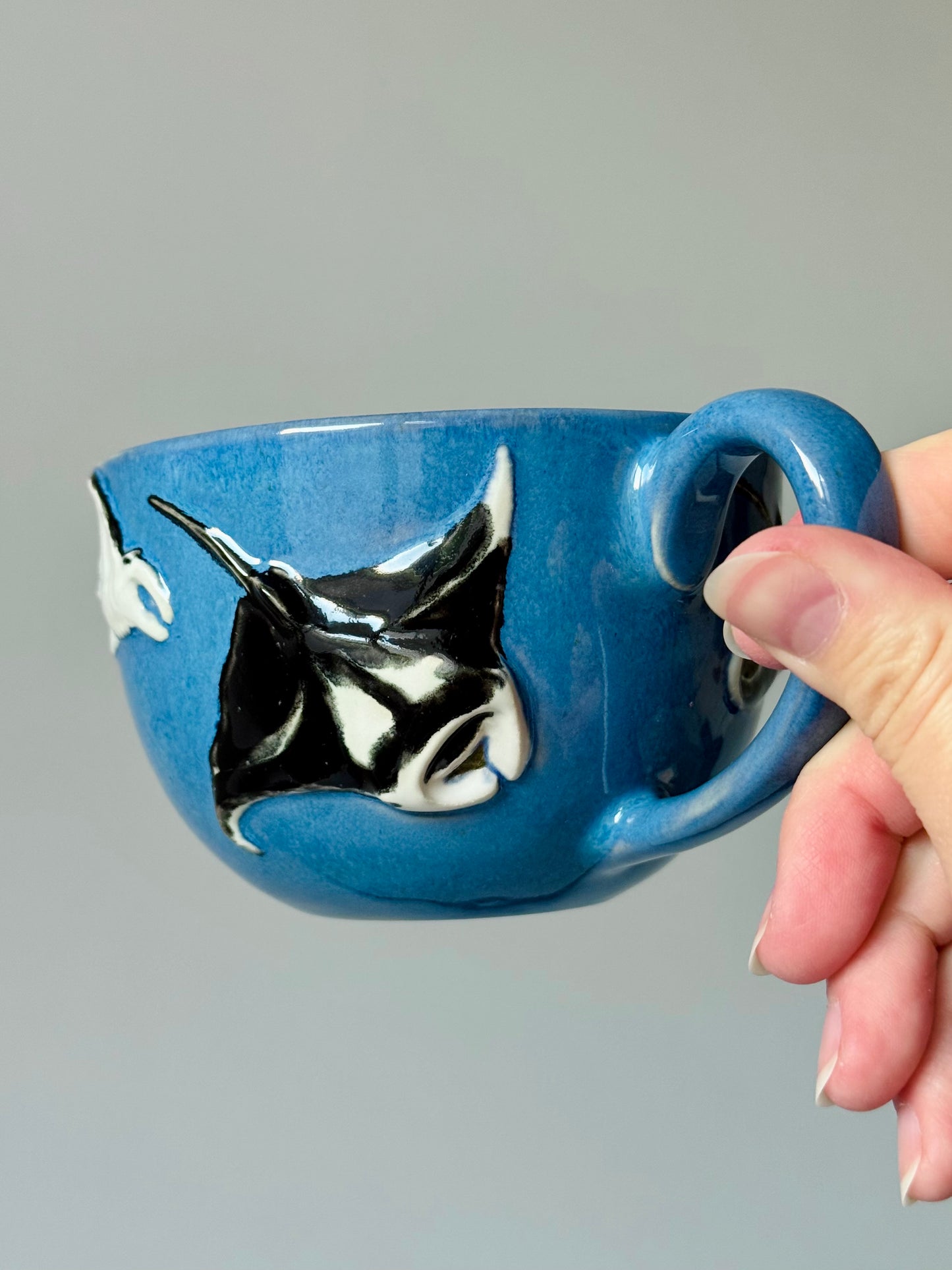 Flying Mantas Mug