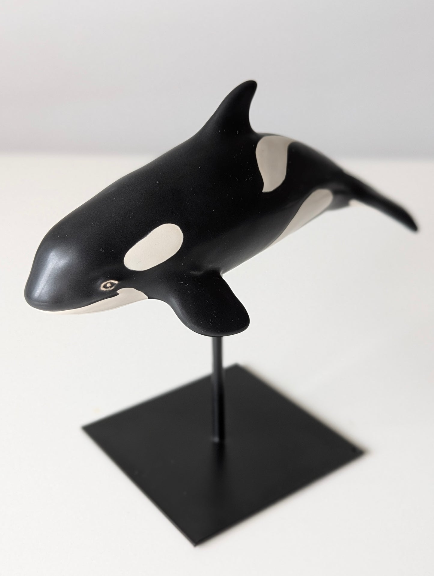 Baby Orca