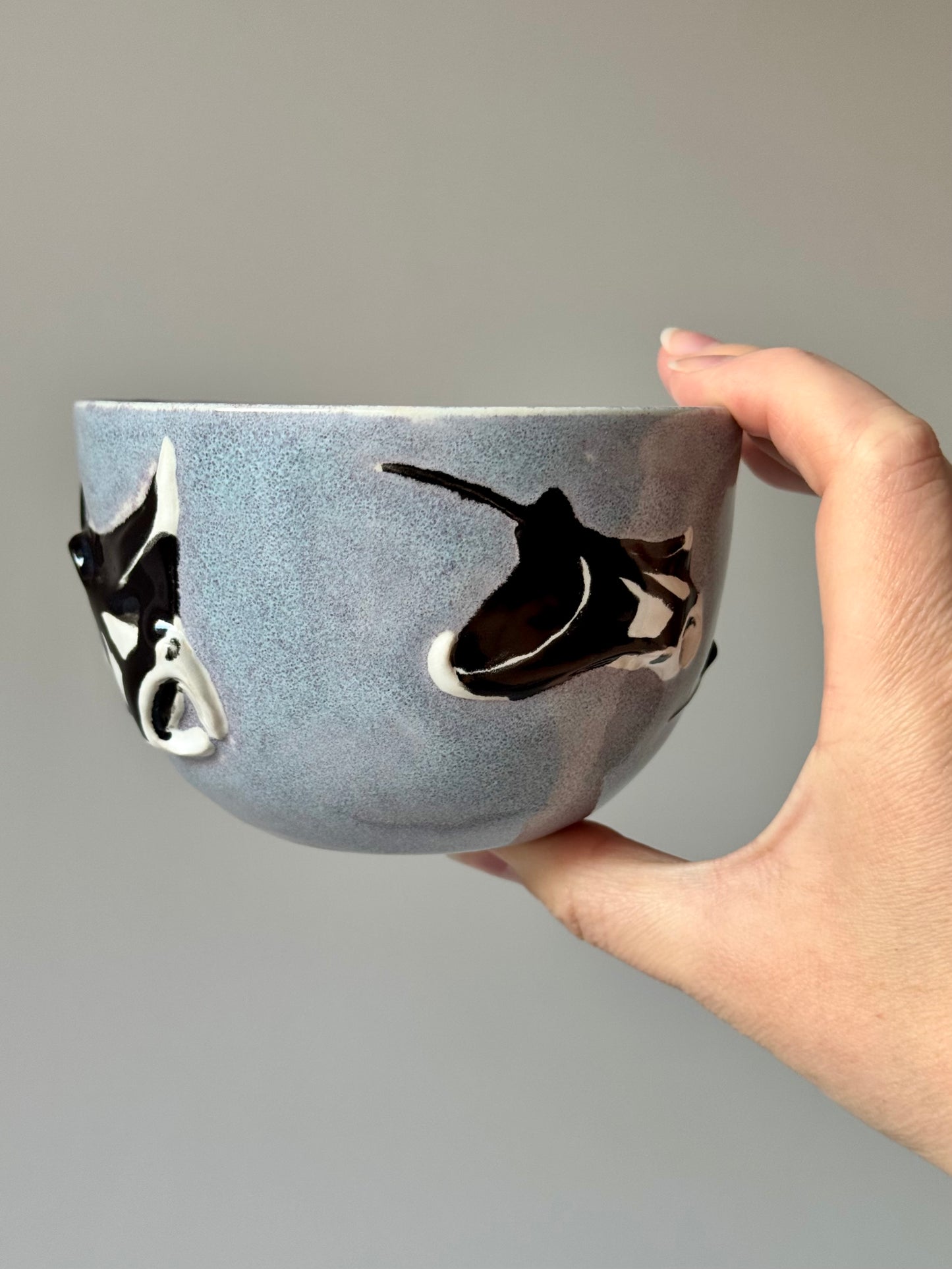 Flying Mantas Mug
