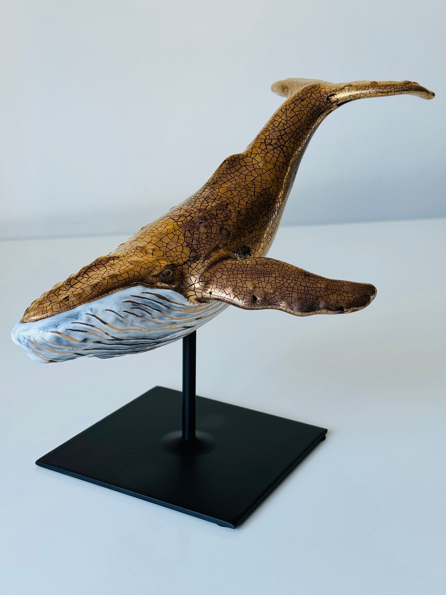 Humpback Whale