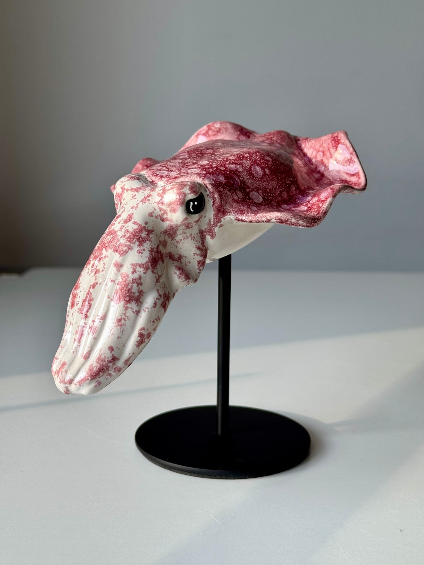 Cuttlefish