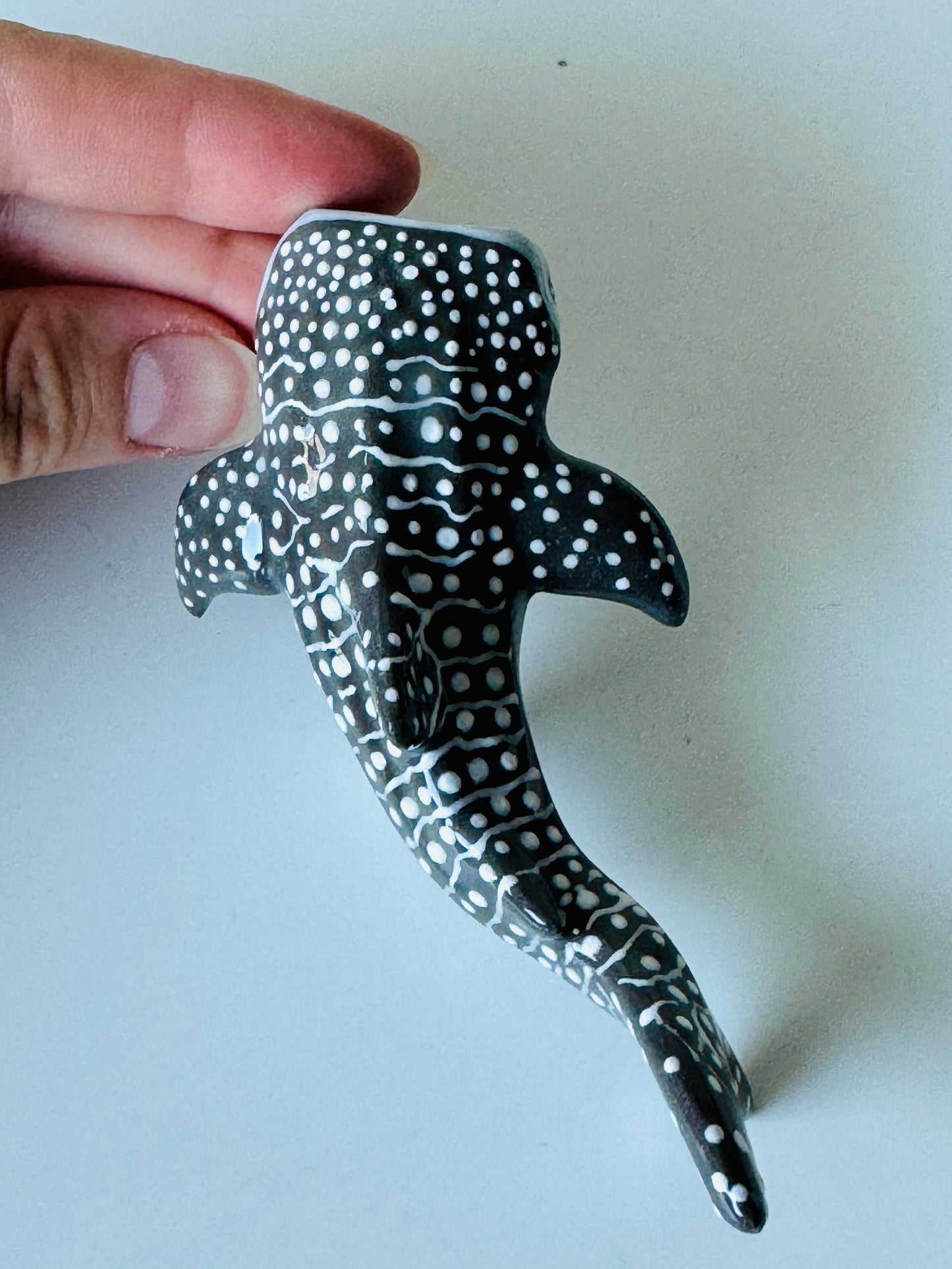 Baby Whale Shark