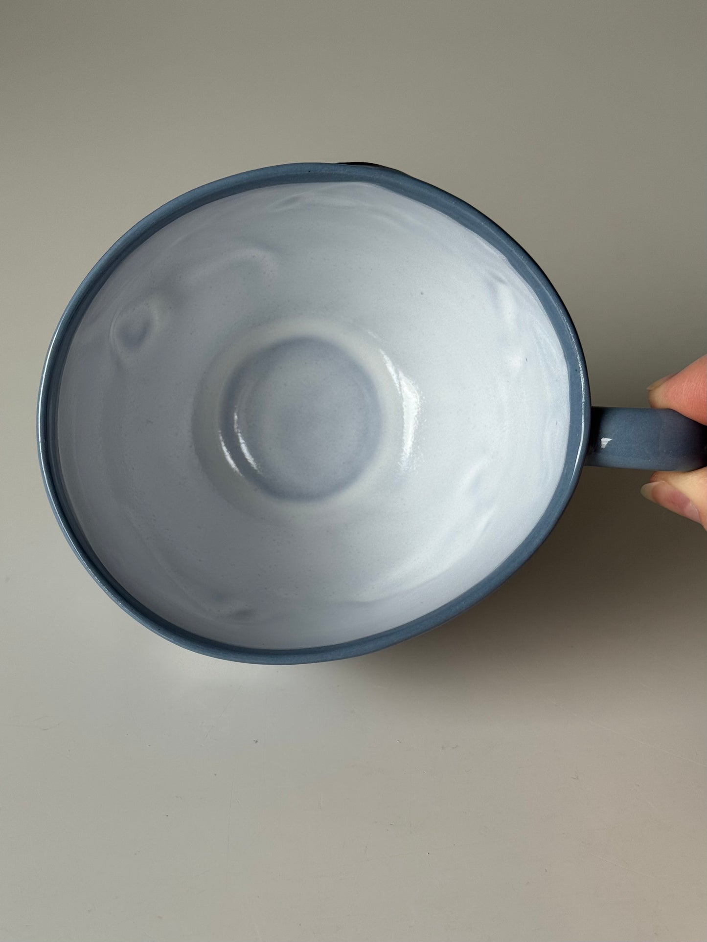 Flying Mantas Mug