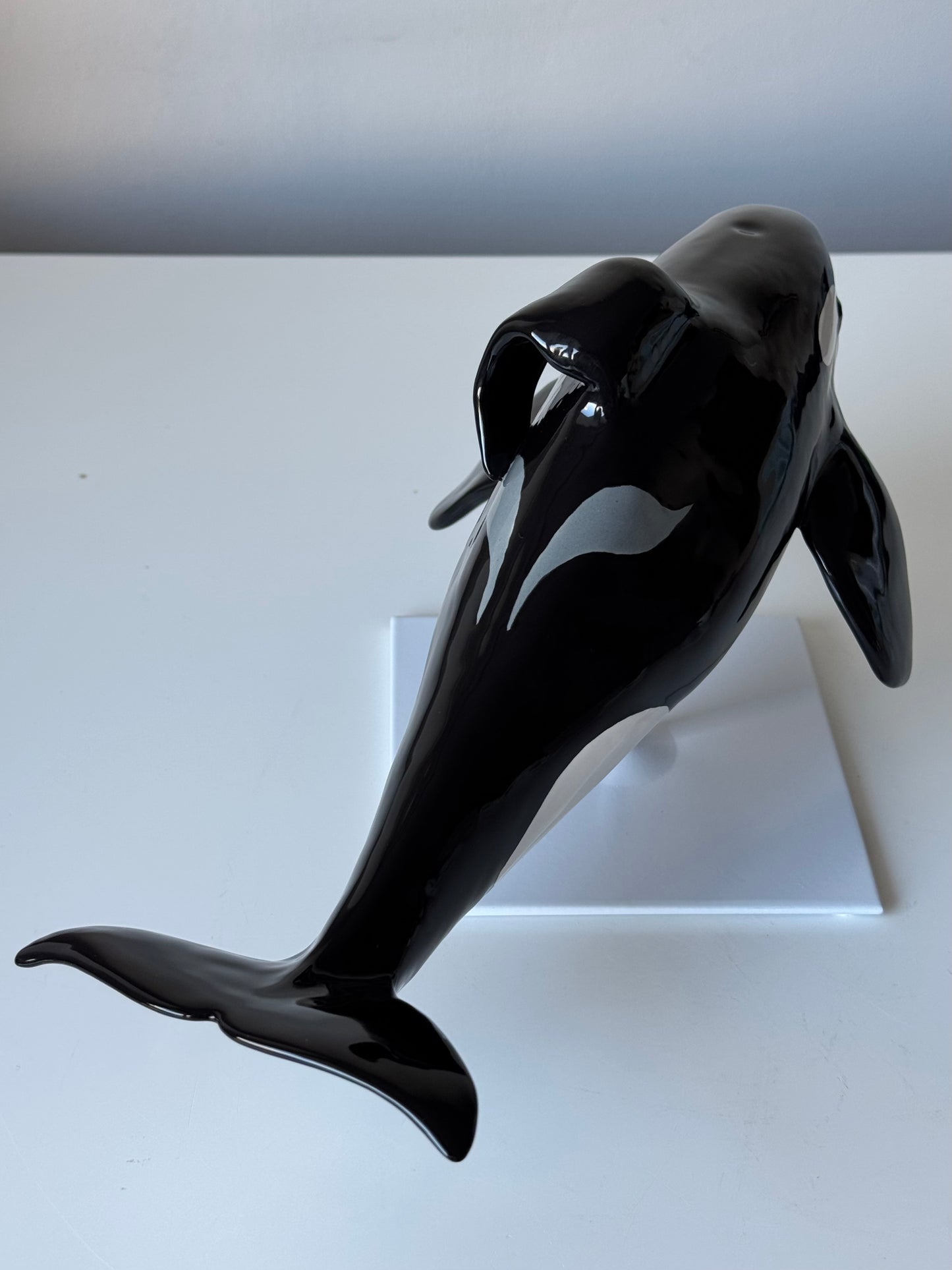 Orca Willy