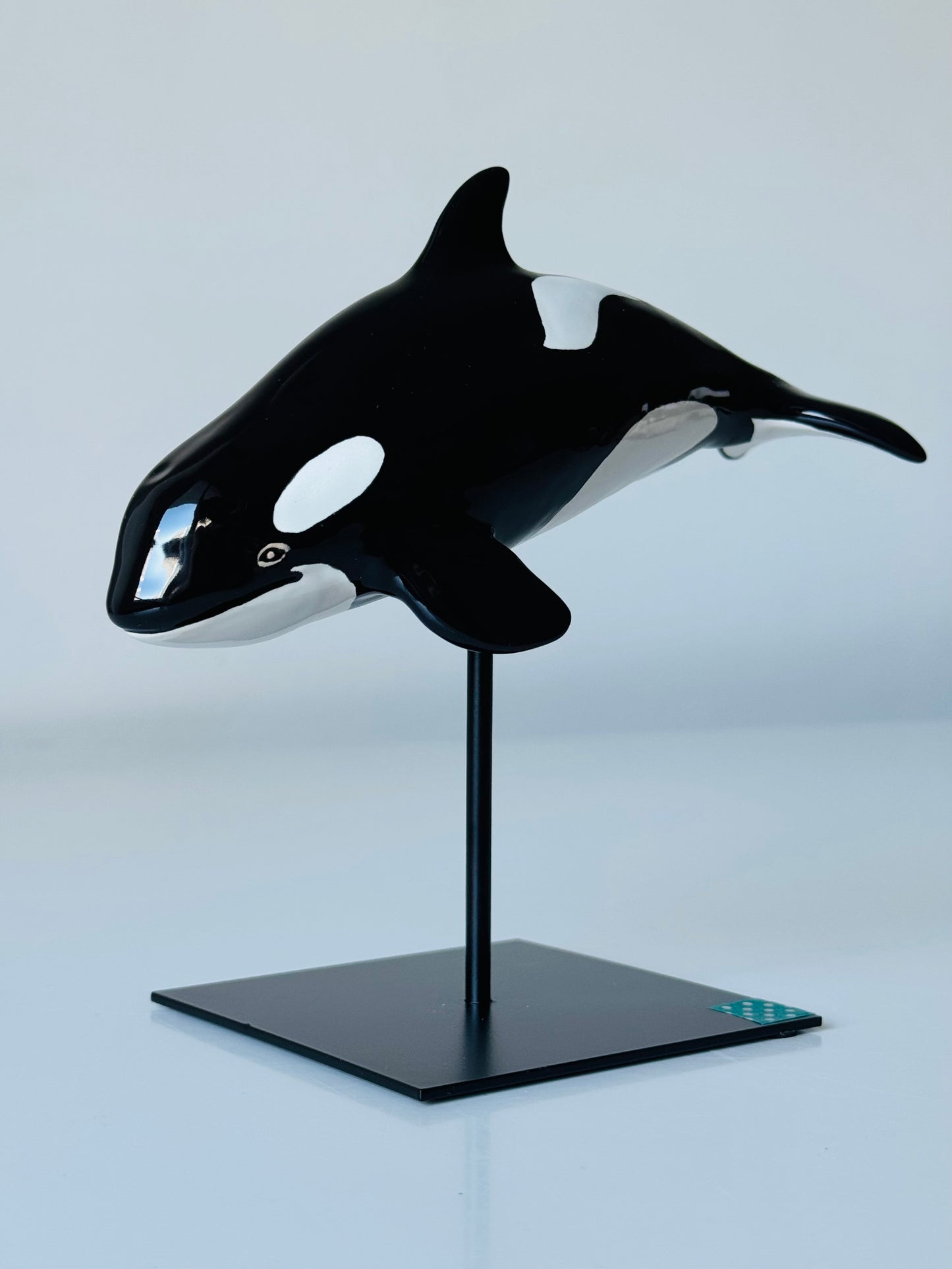 Baby Orca