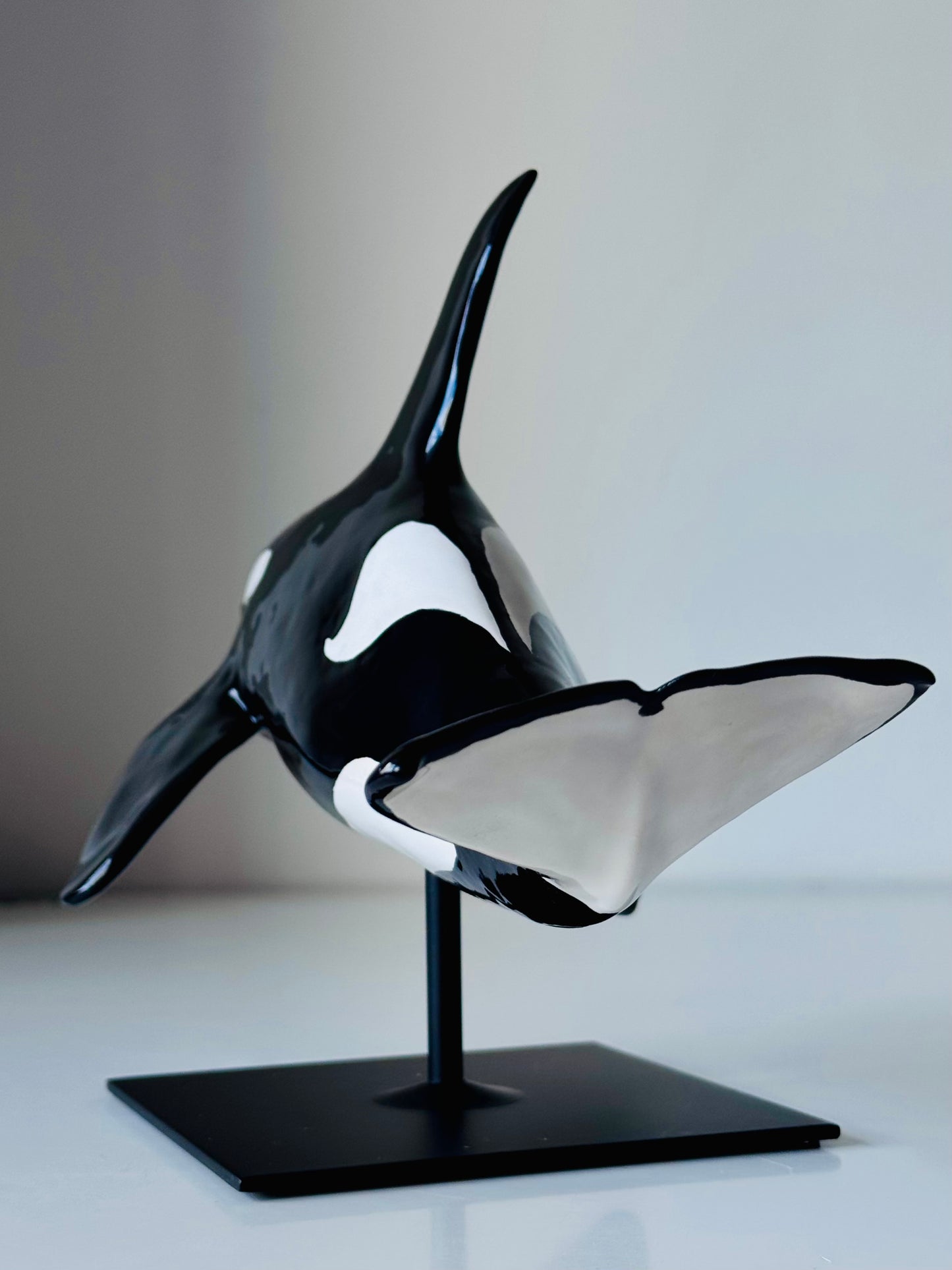 Male Orca on a stand