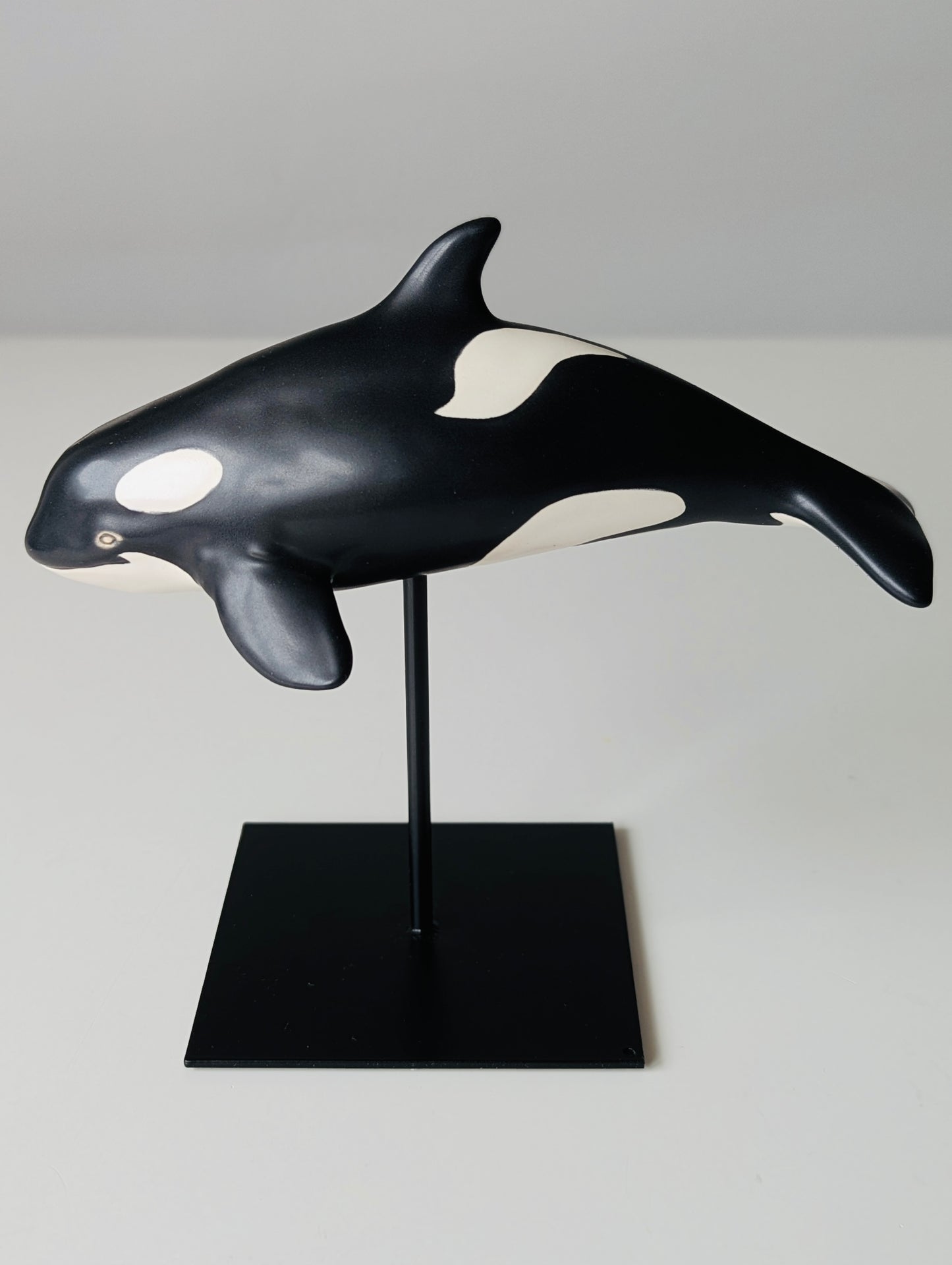 Baby Orca