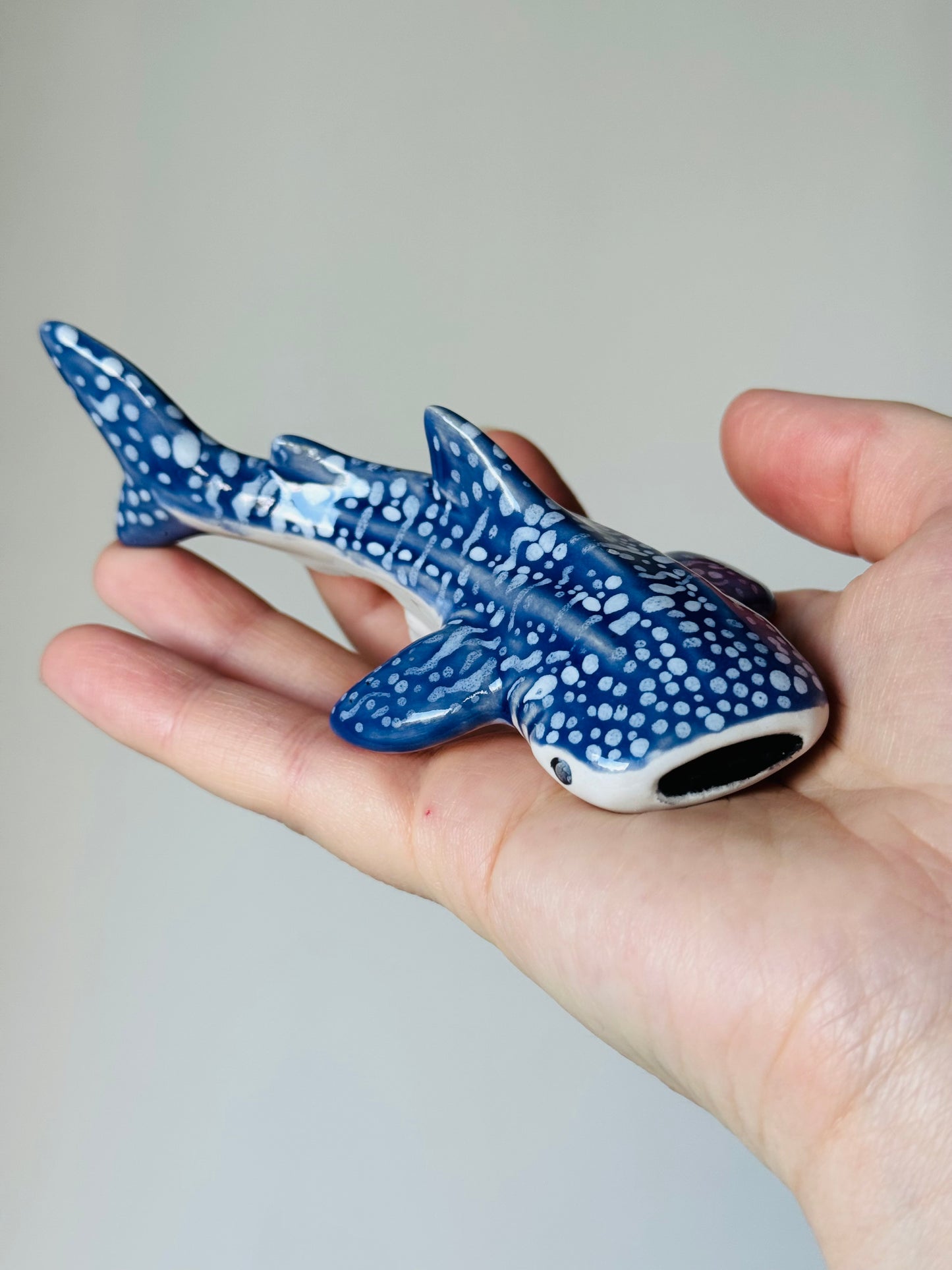 Baby Whale Shark