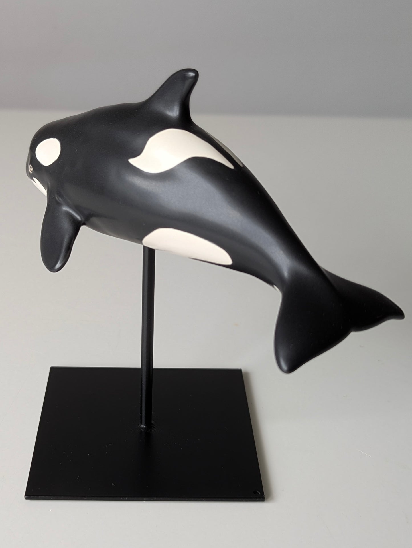 Baby Orca