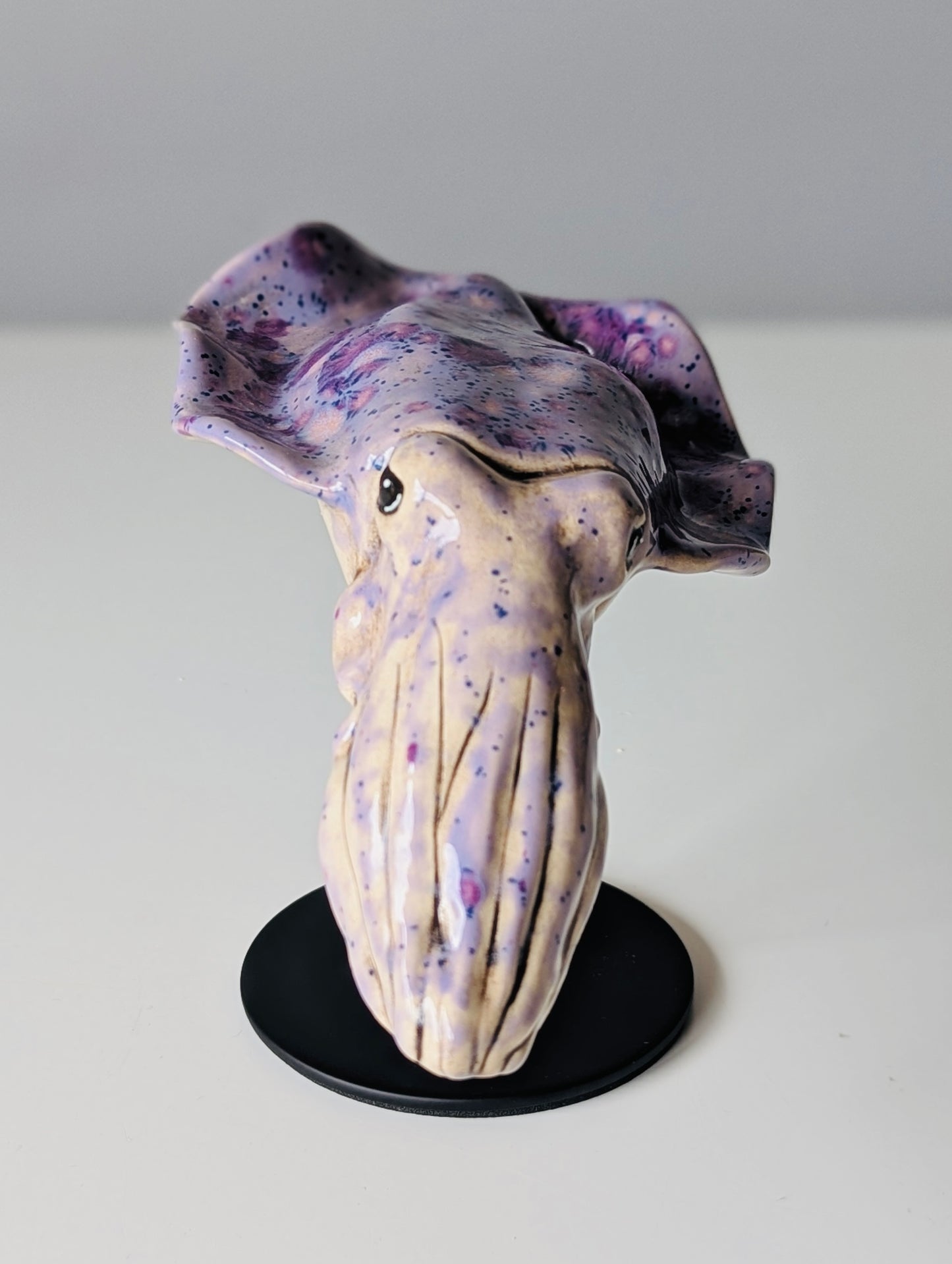 Cuttlefish