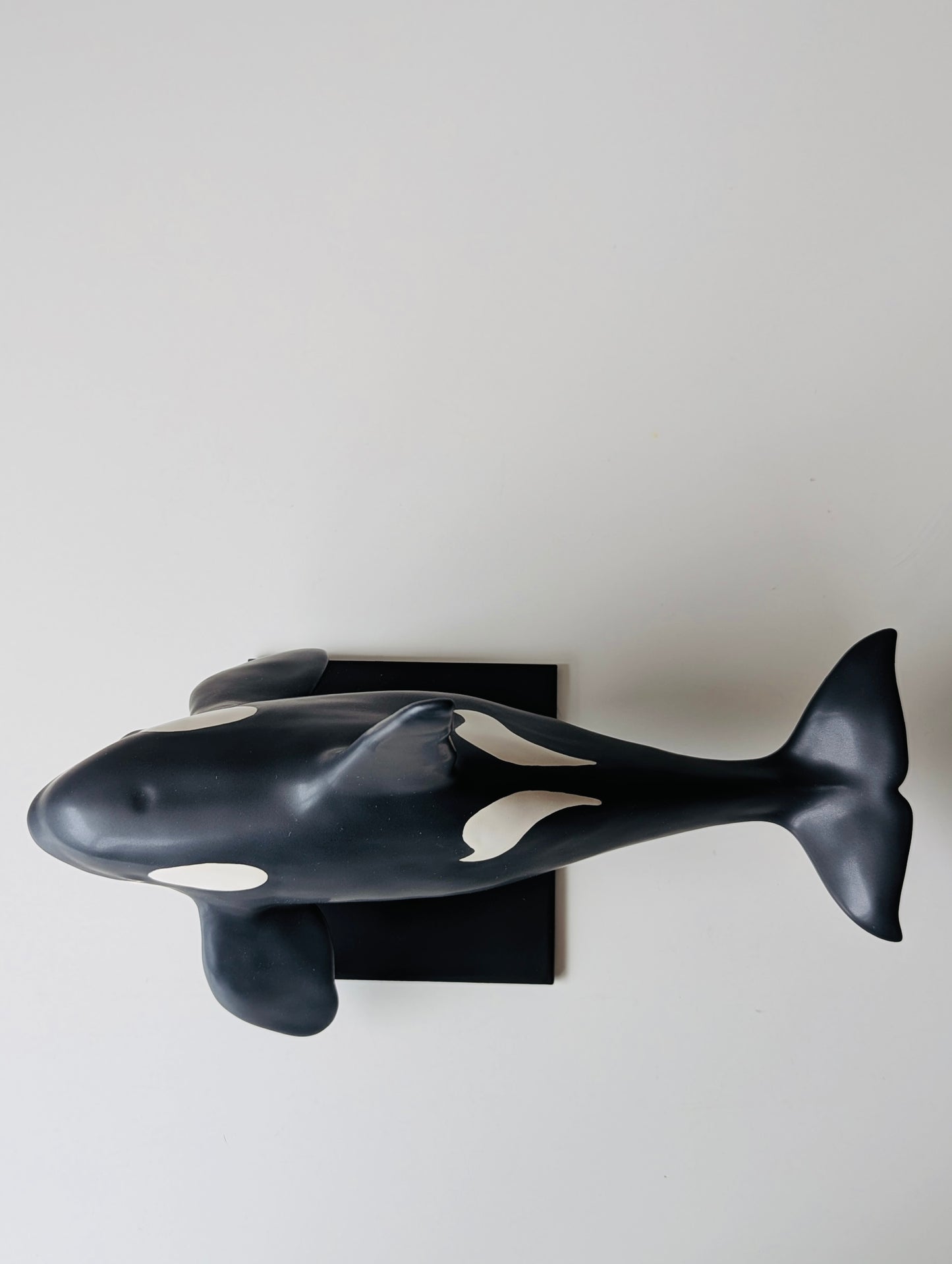 Male Orca on a stand