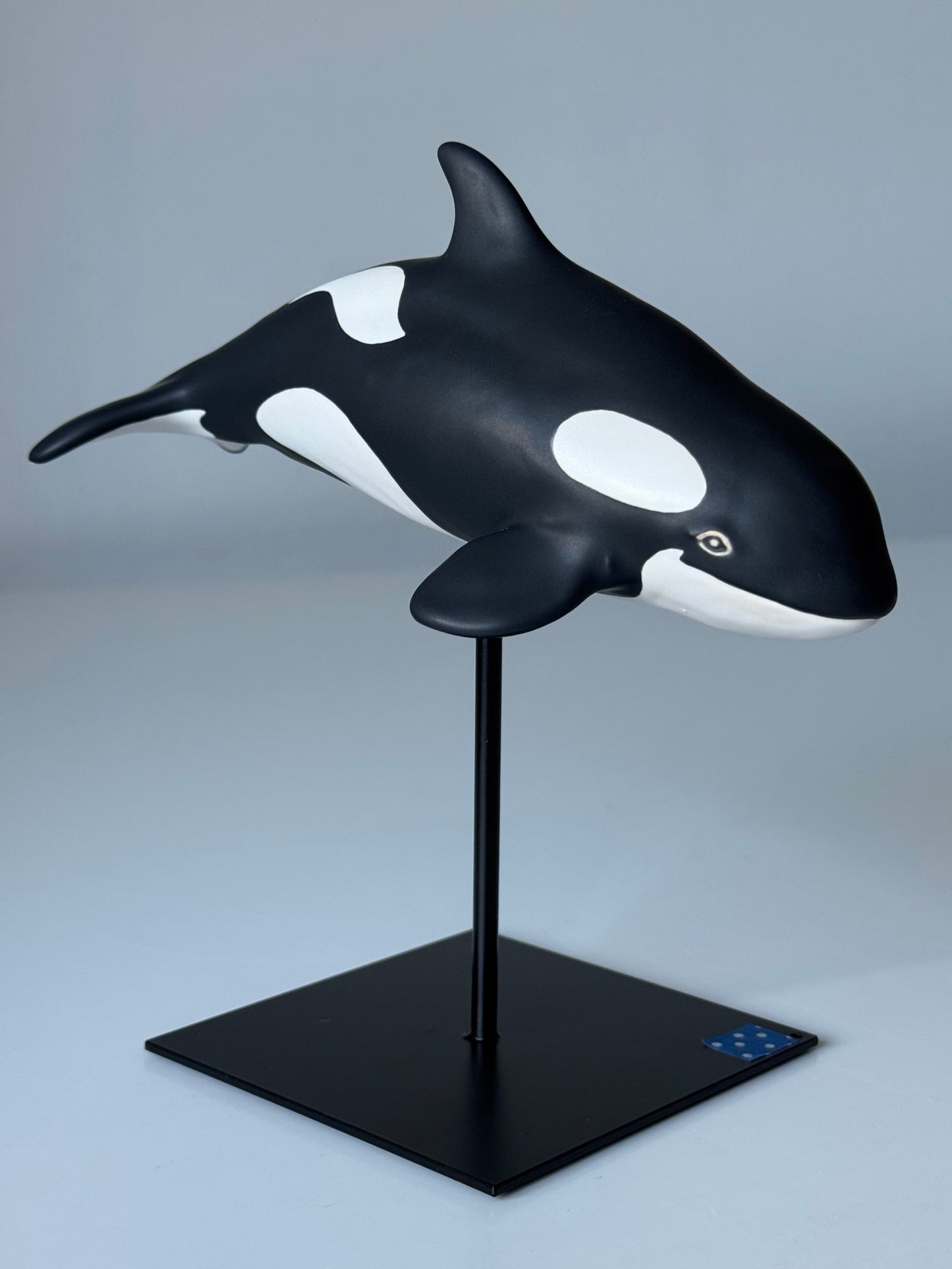 Baby Orca
