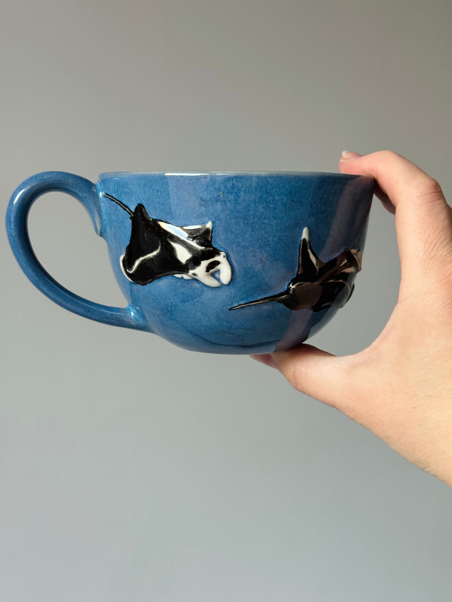 Flying Mantas Mug