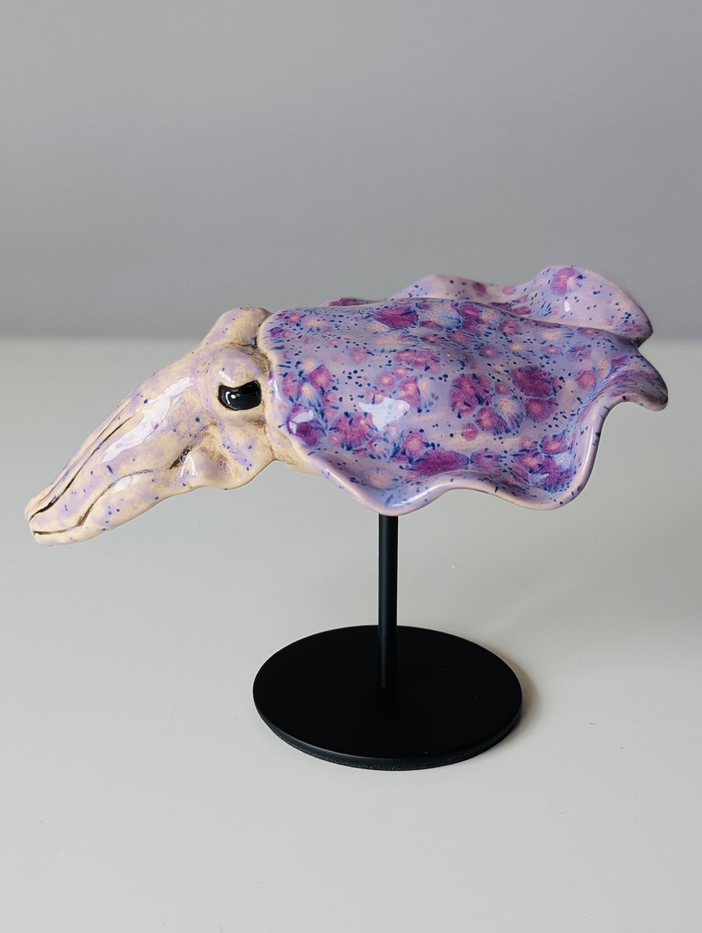 Cuttlefish