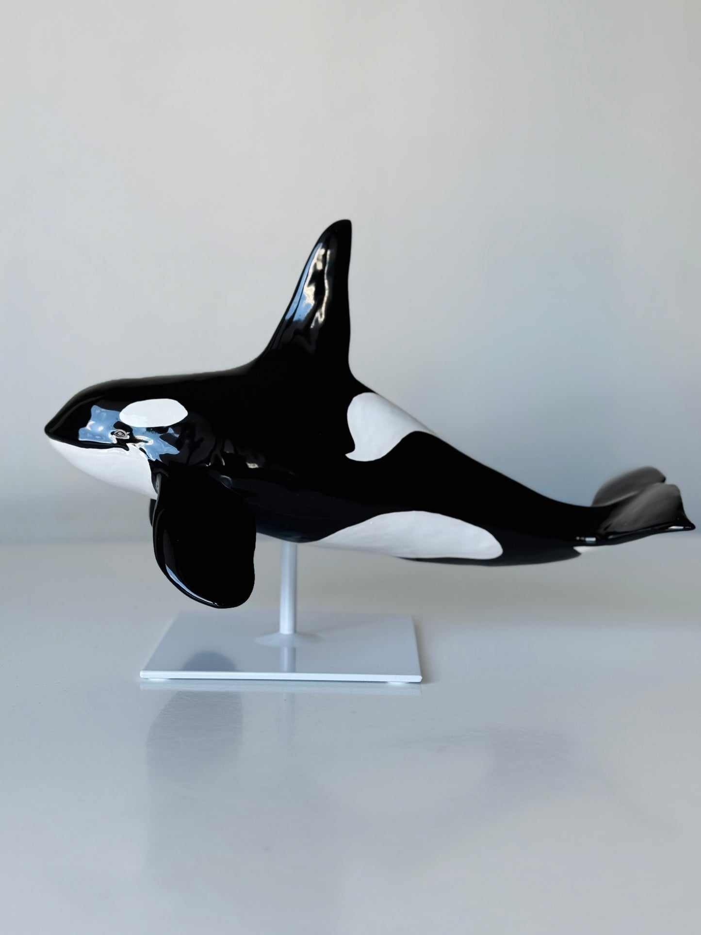 Male Orca on a stand