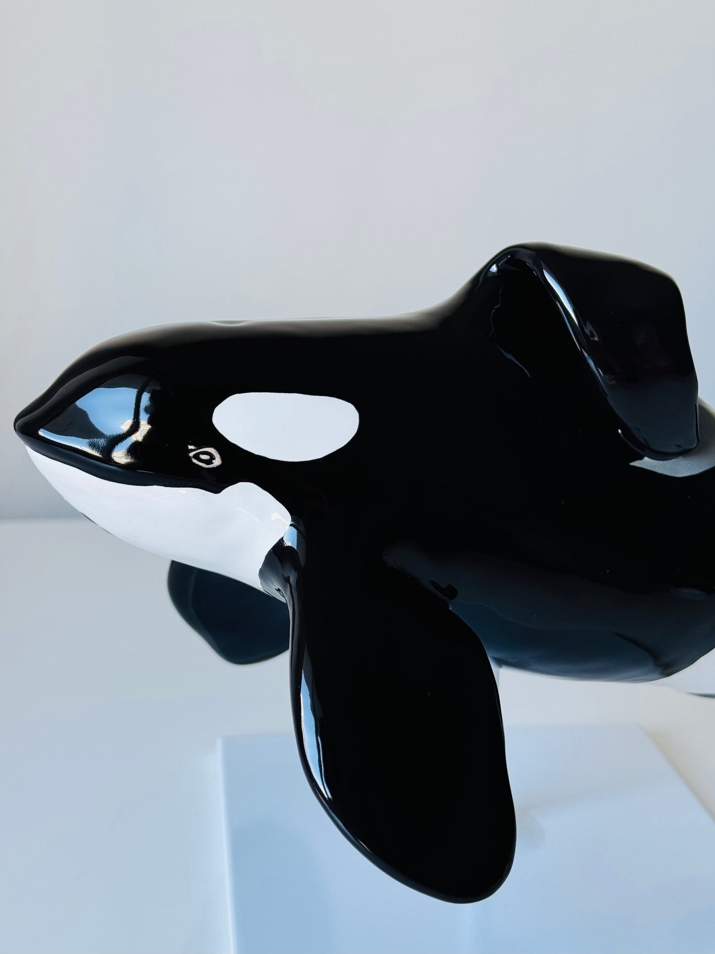 Orca Willy