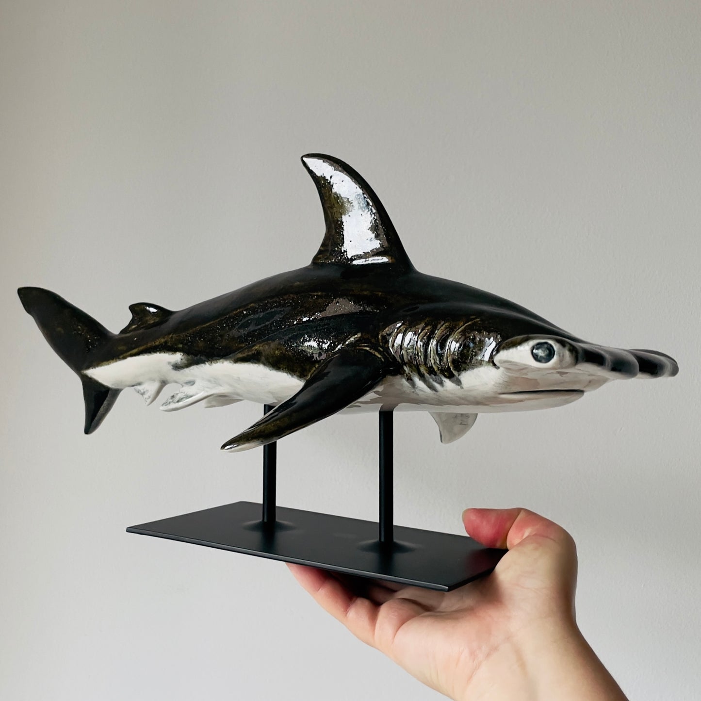 Hammerhead Shark