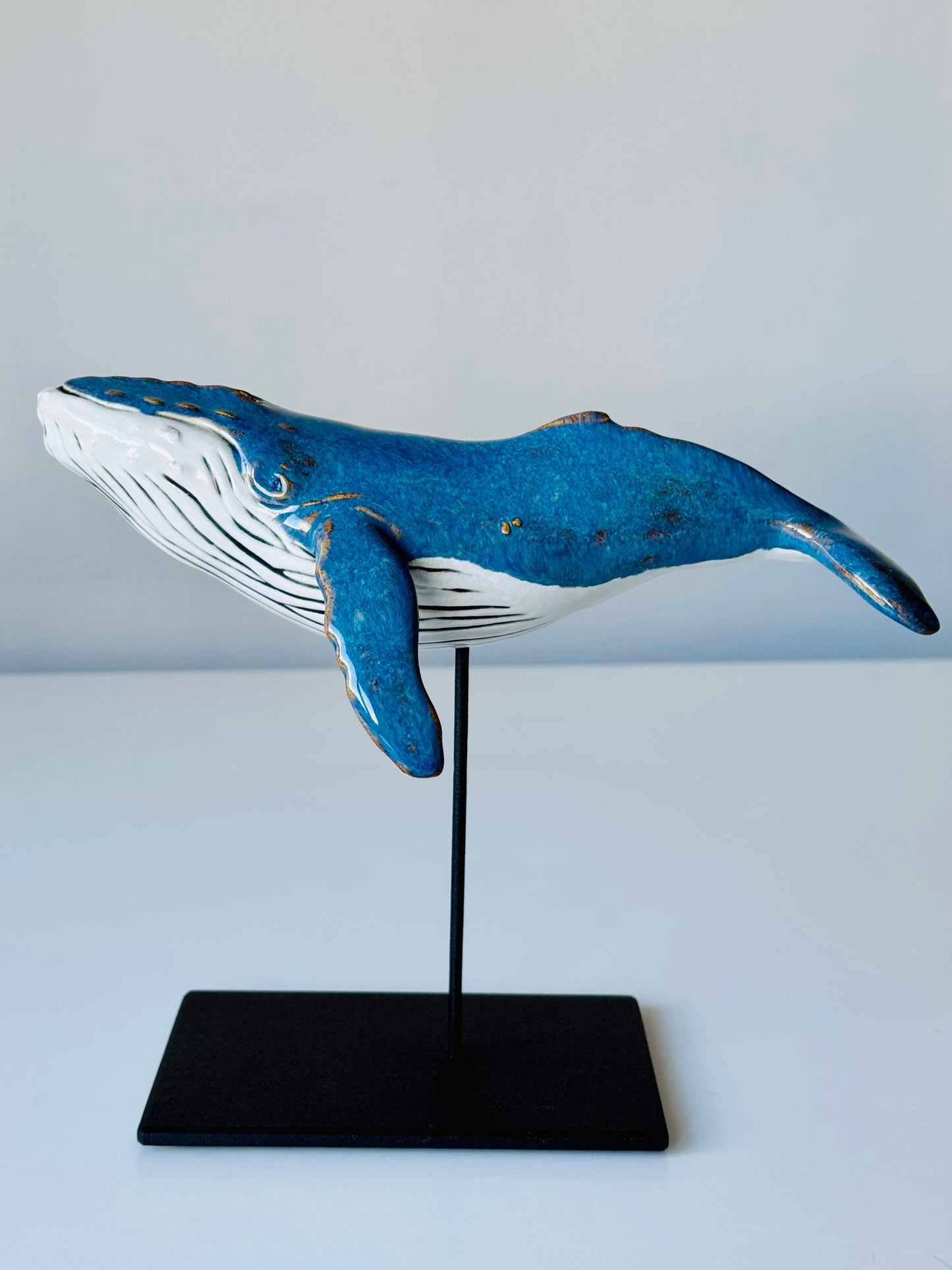 Baby Humpback Whale