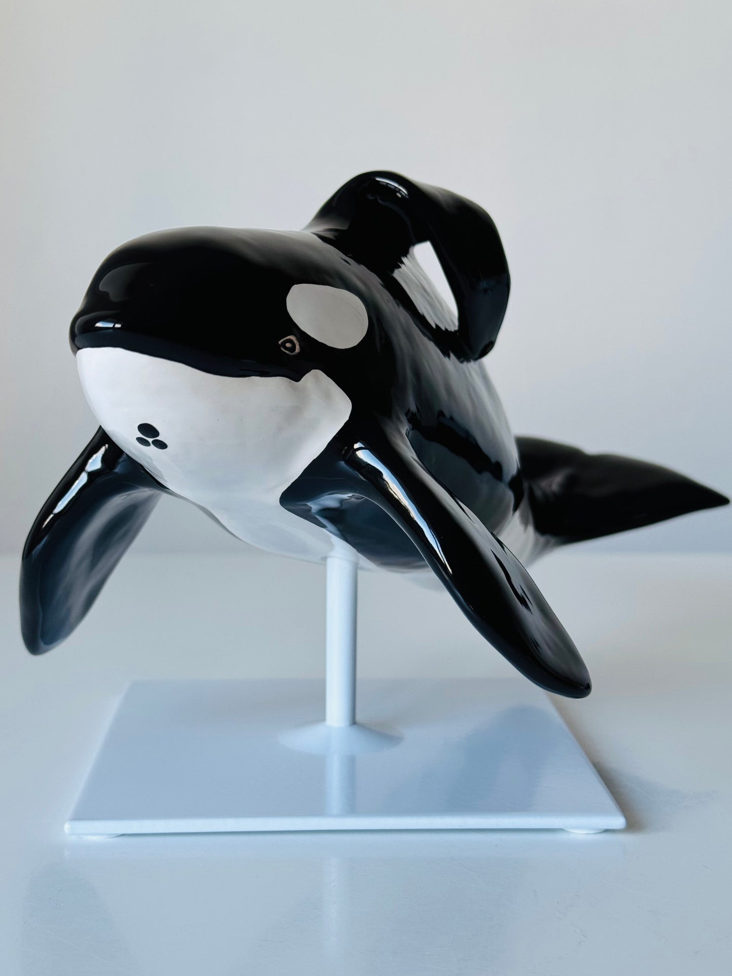 Orca Willy