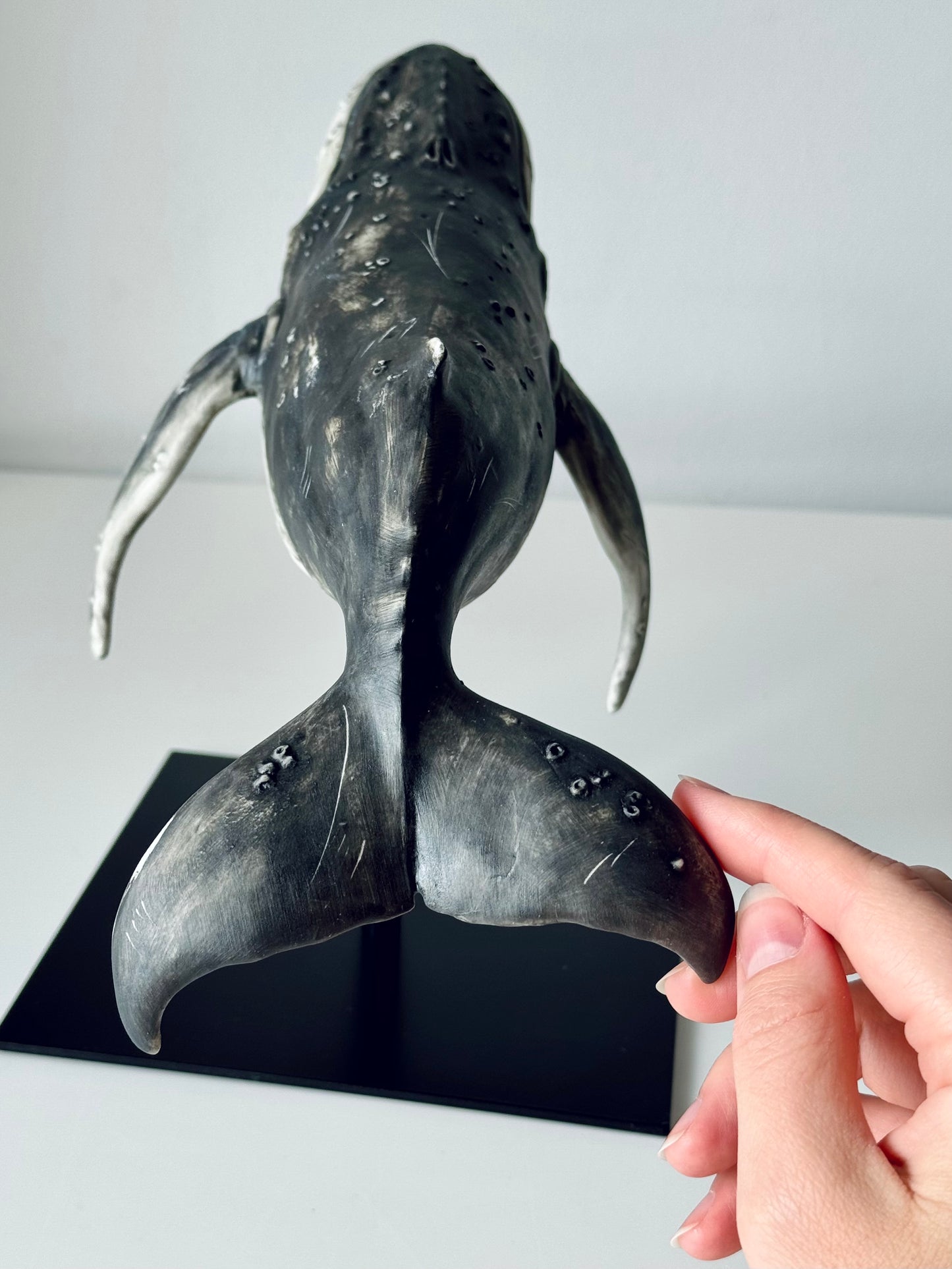 Big Humpback Whale