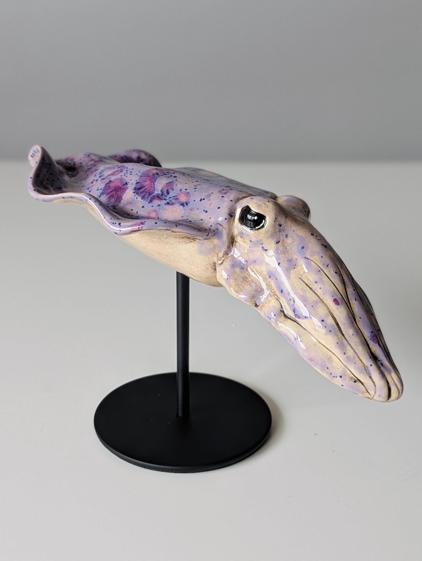 Cuttlefish