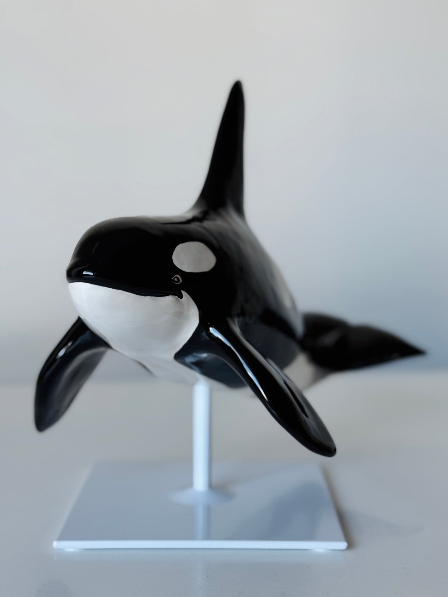Male Orca on a stand