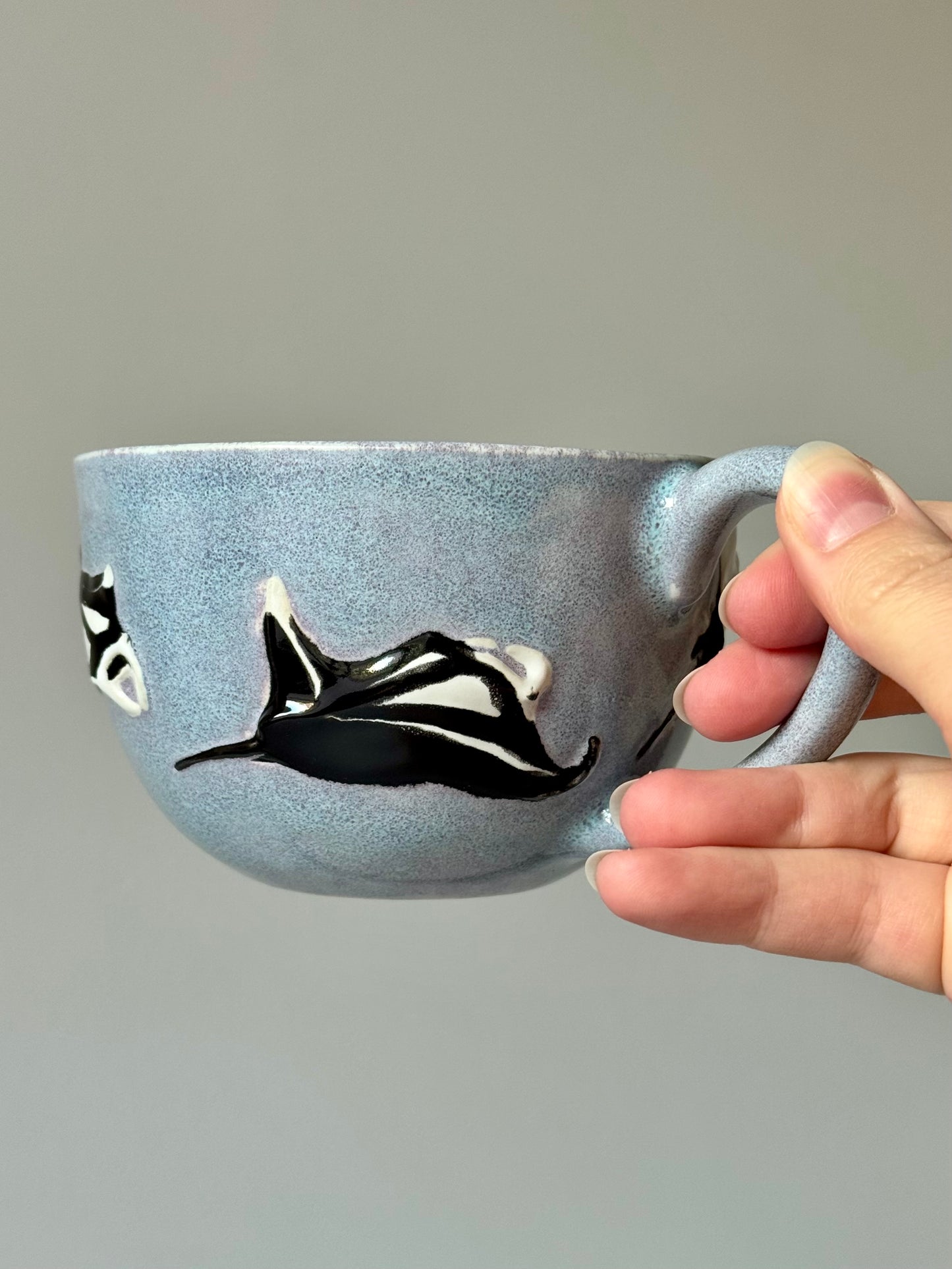 Flying Mantas Mug