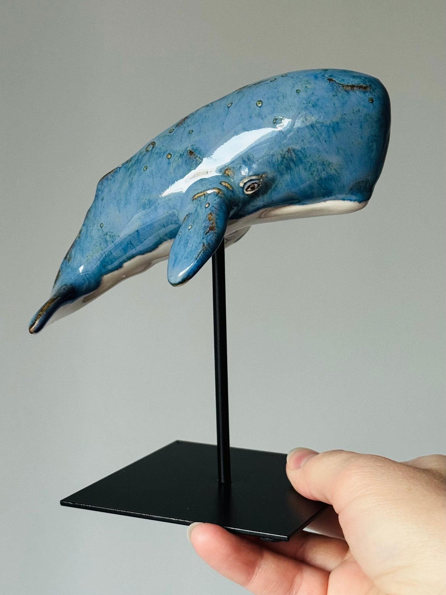 Cachalot on a stand