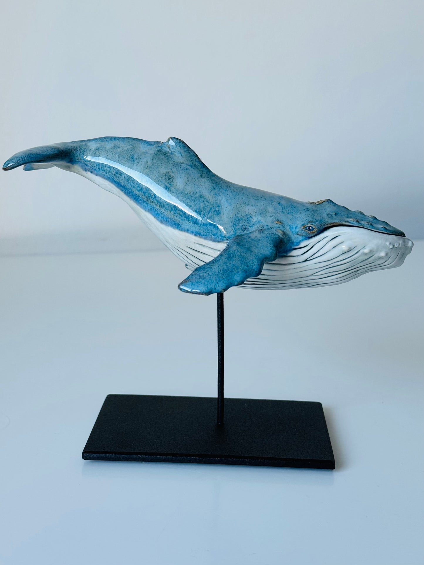 Baby Humpback Whale
