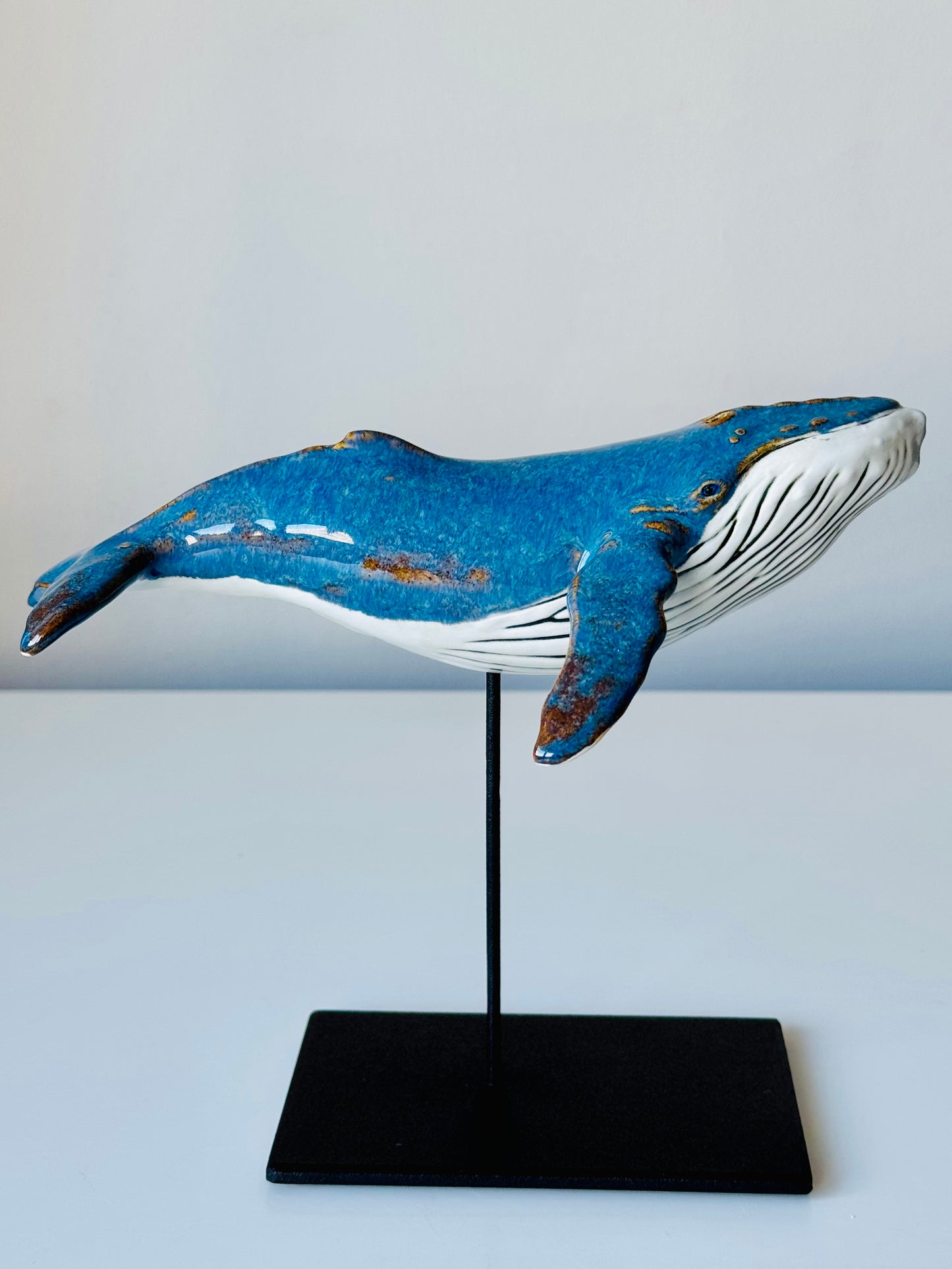 Baby Humpback Whale