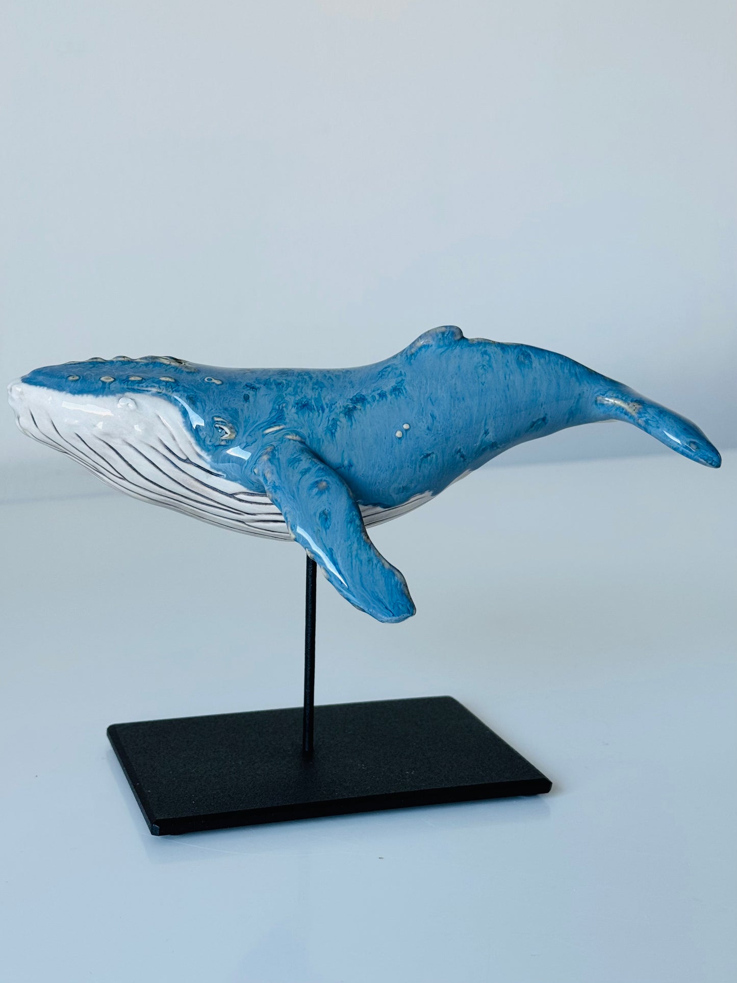 Baby Humpback Whale