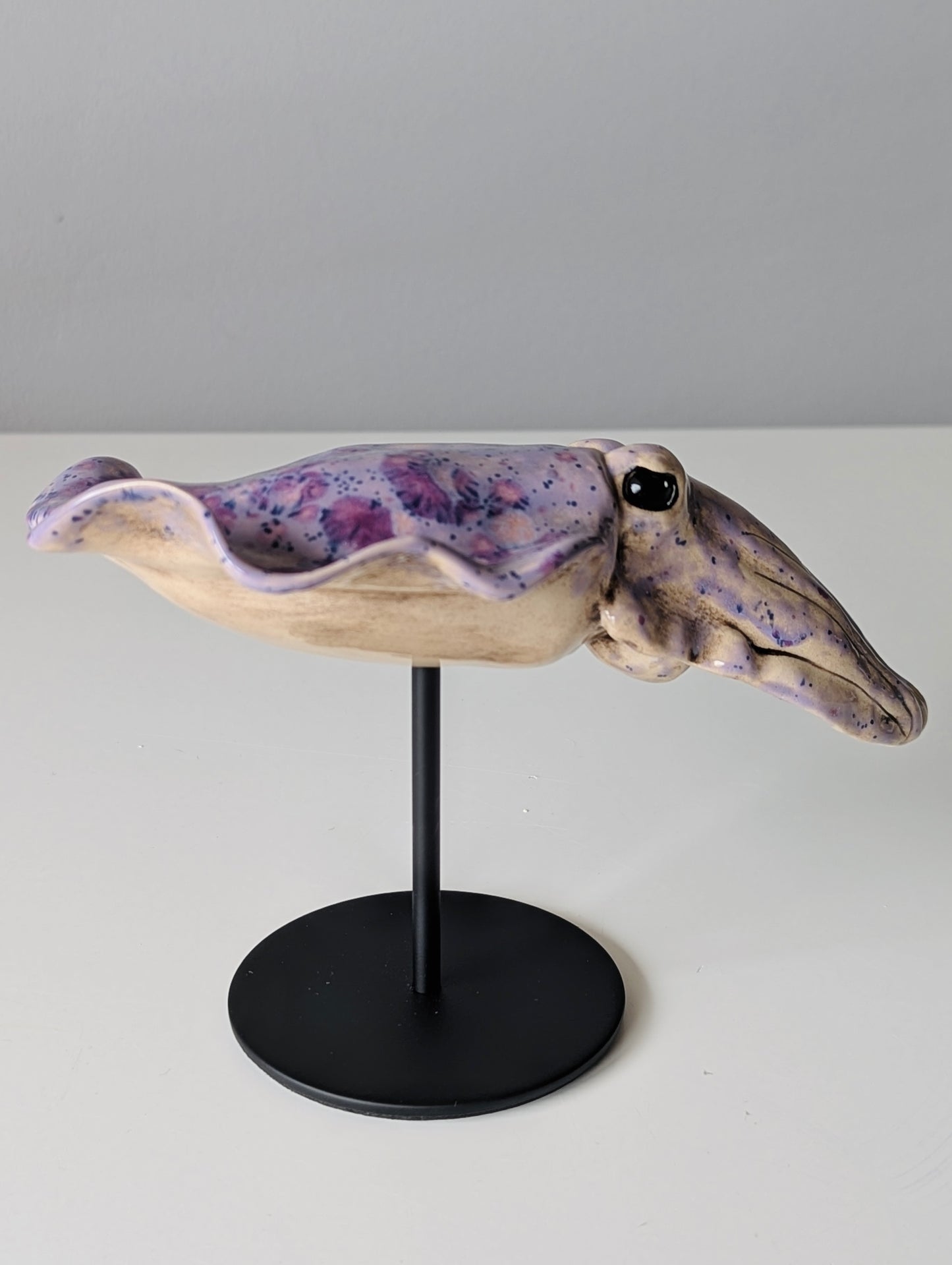 Cuttlefish
