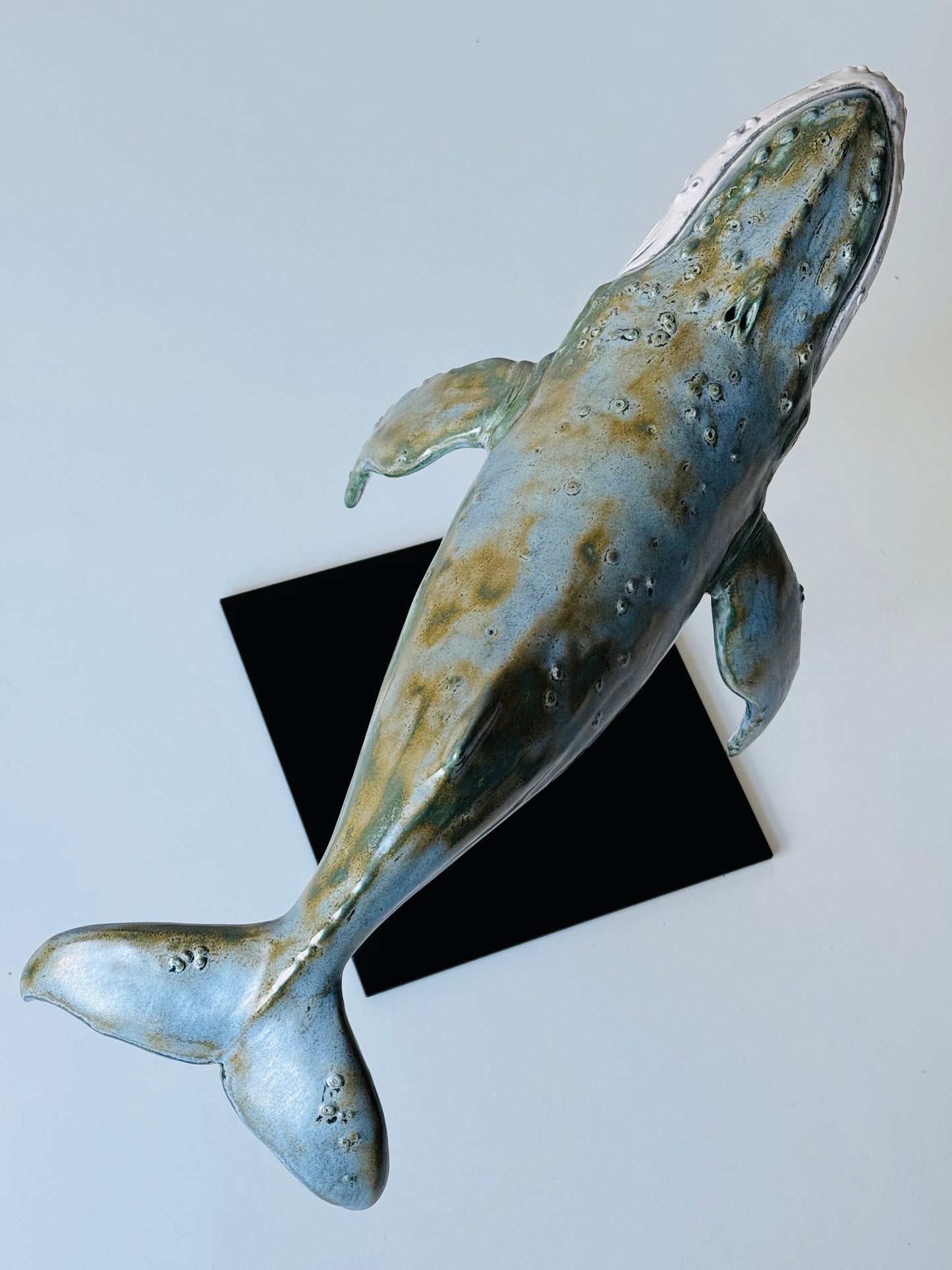 Big Humpback Whale