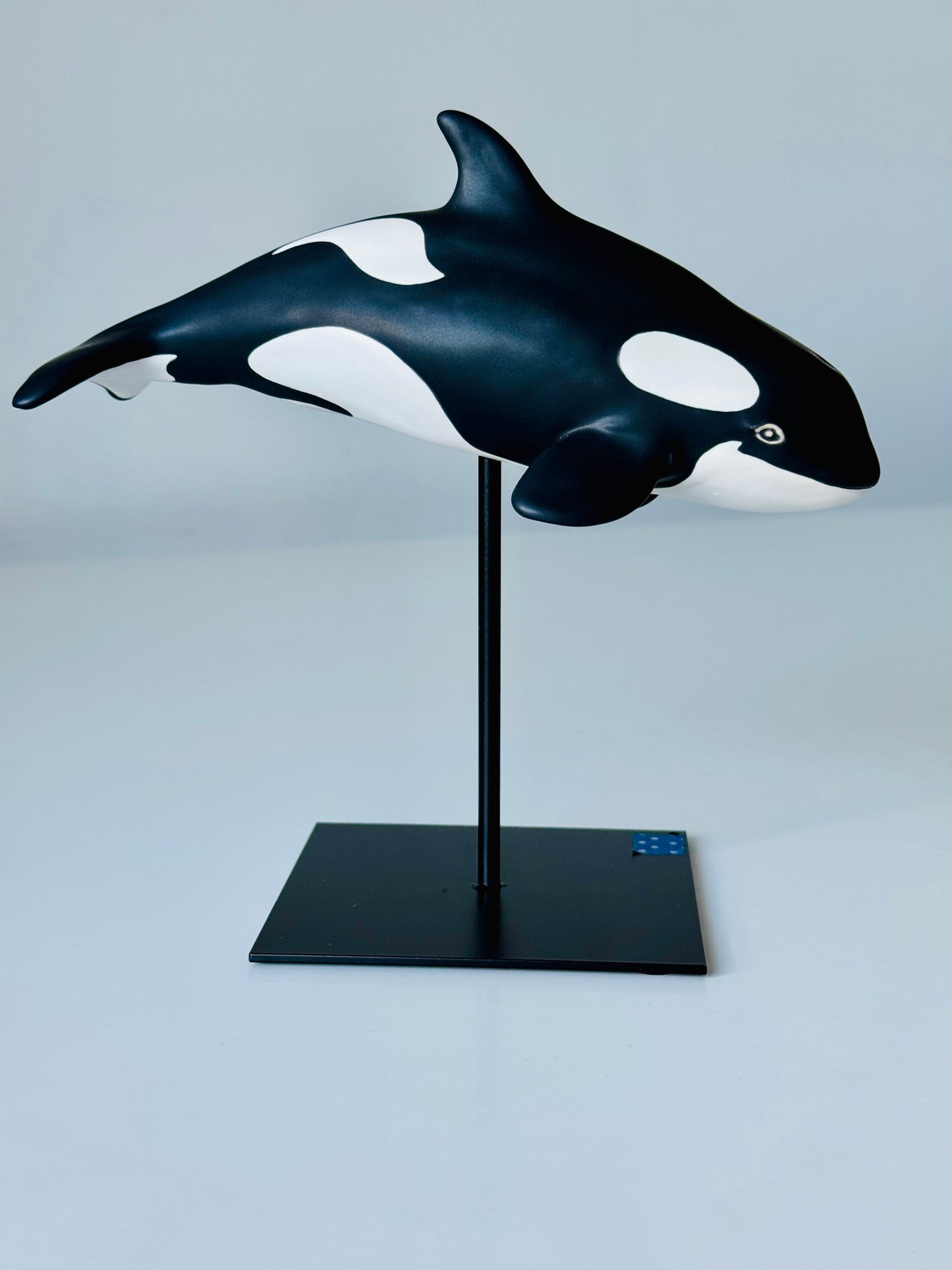 Baby Orca