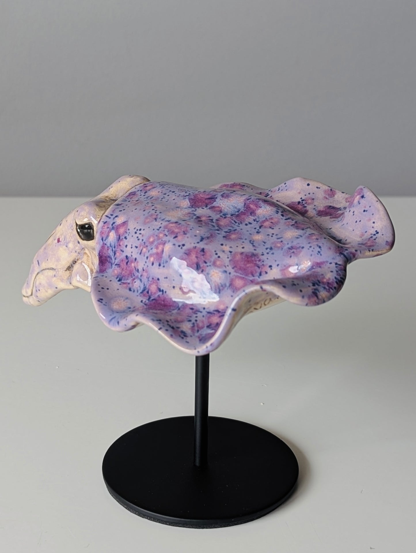 Cuttlefish