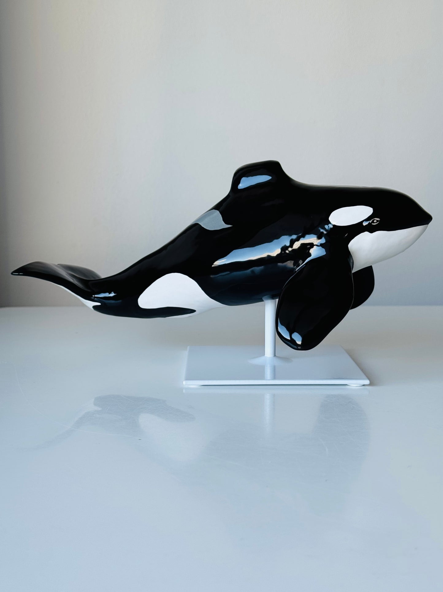 Orca Willy