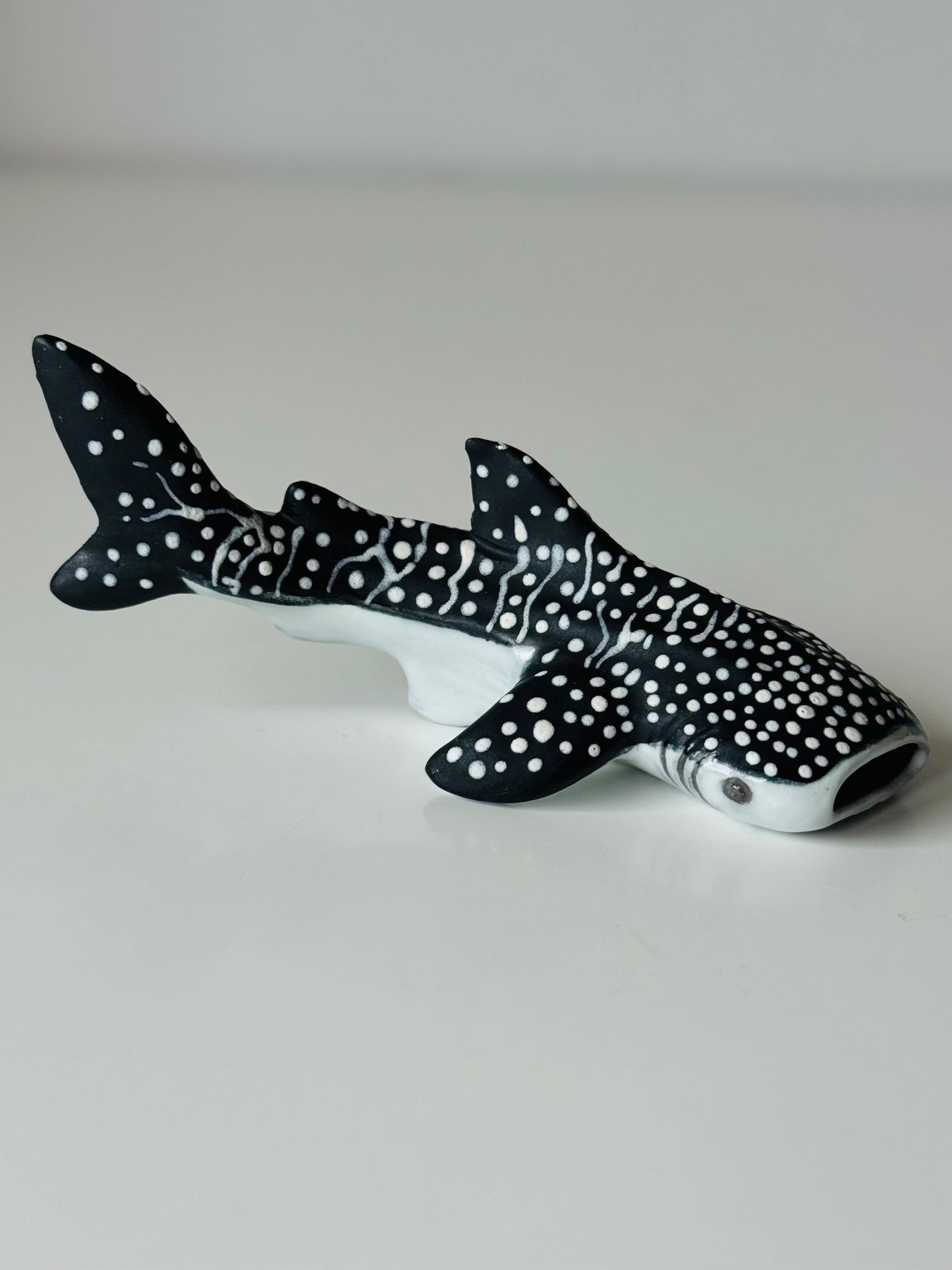 Baby Whale Shark