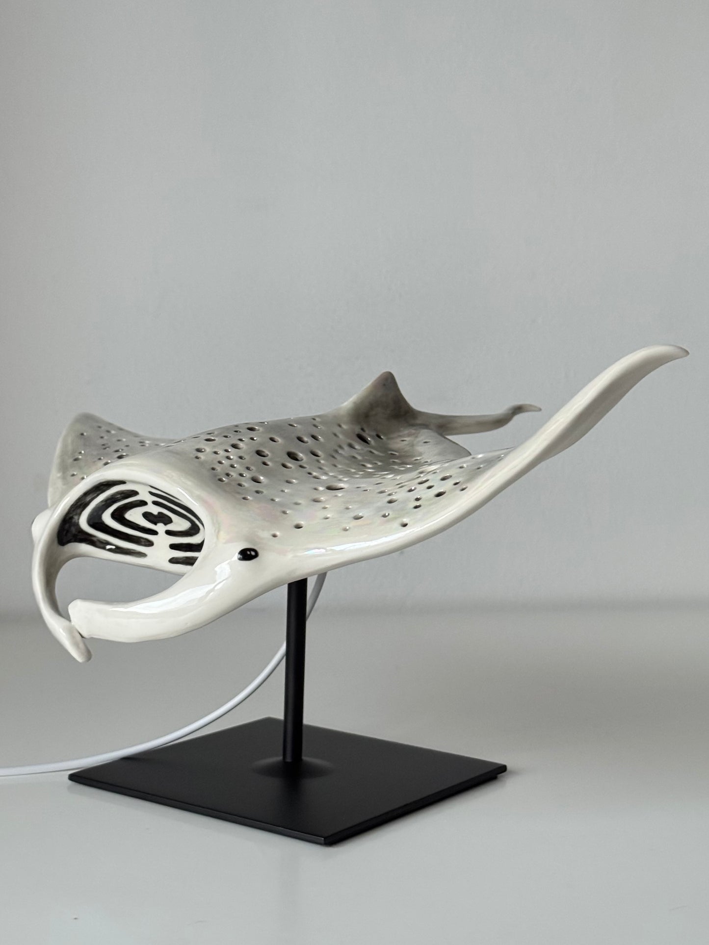 Big Manta Ray