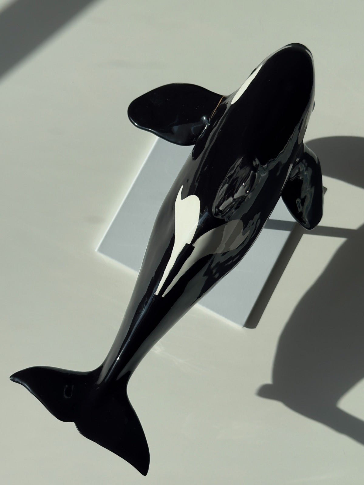 Male Orca (Kintsugi)