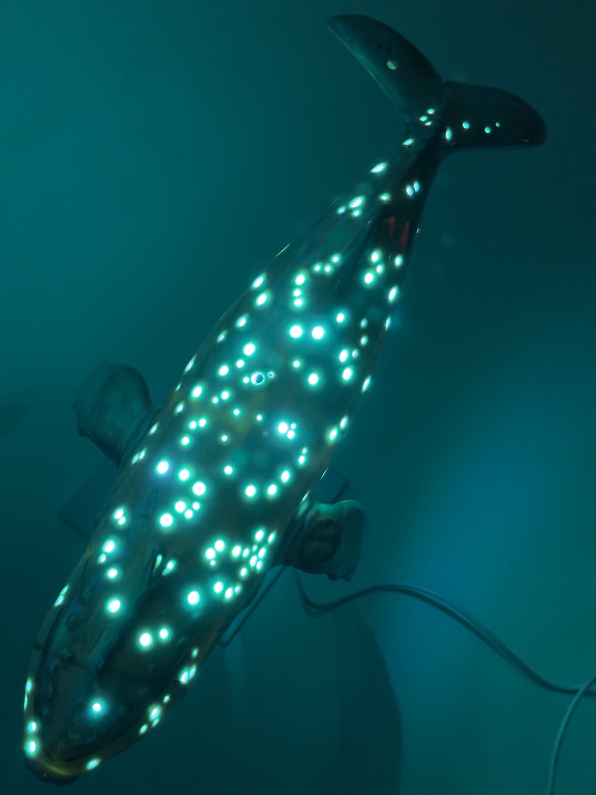 Humpback Whale Lamp (Kintsugi)