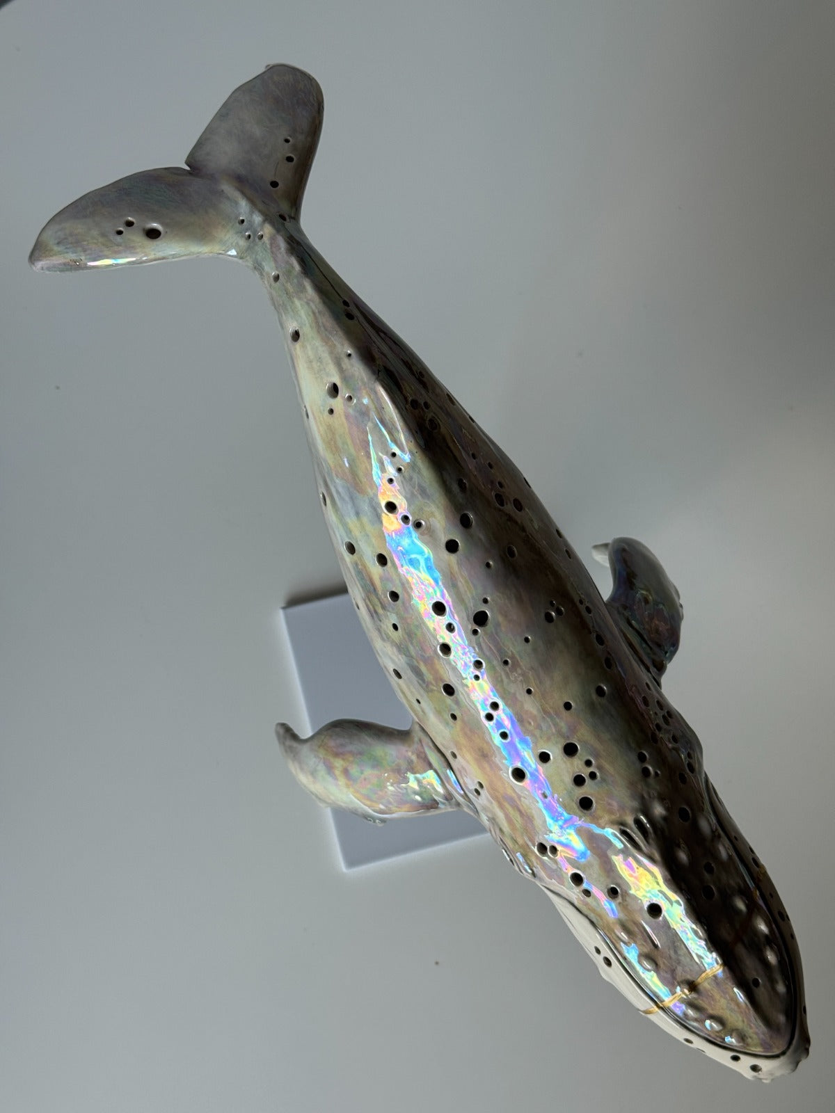 Humpback Whale Lamp (Kintsugi)