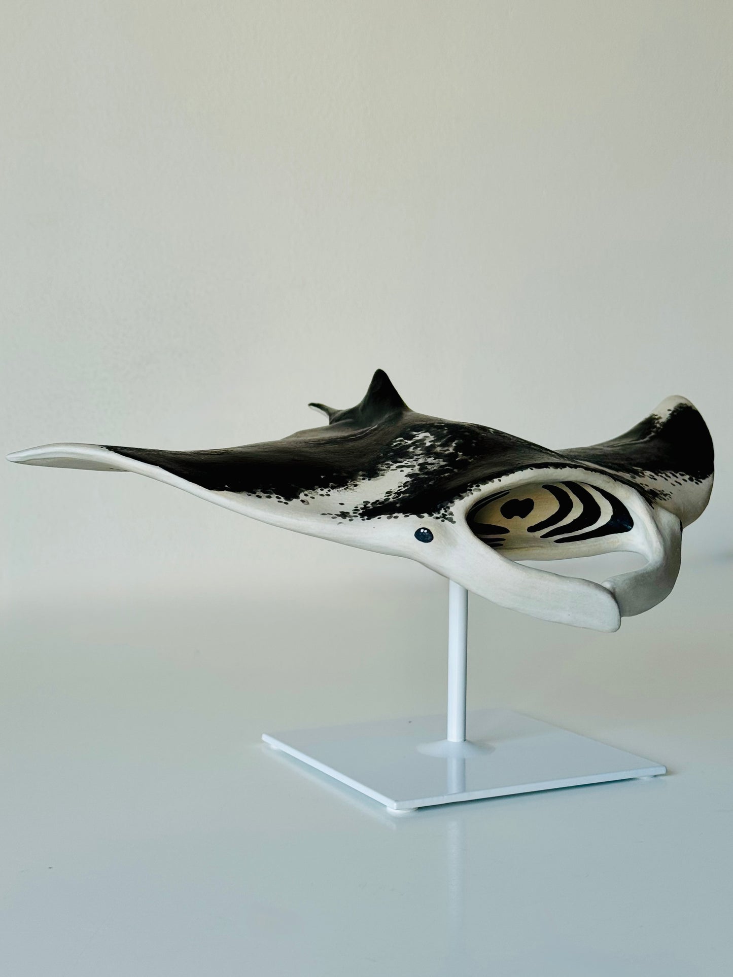 Big Manta Ray