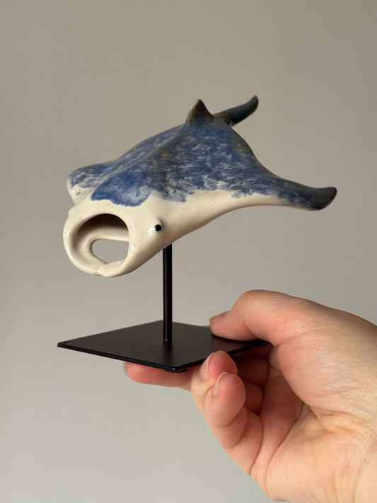 Manta Ray on a stand