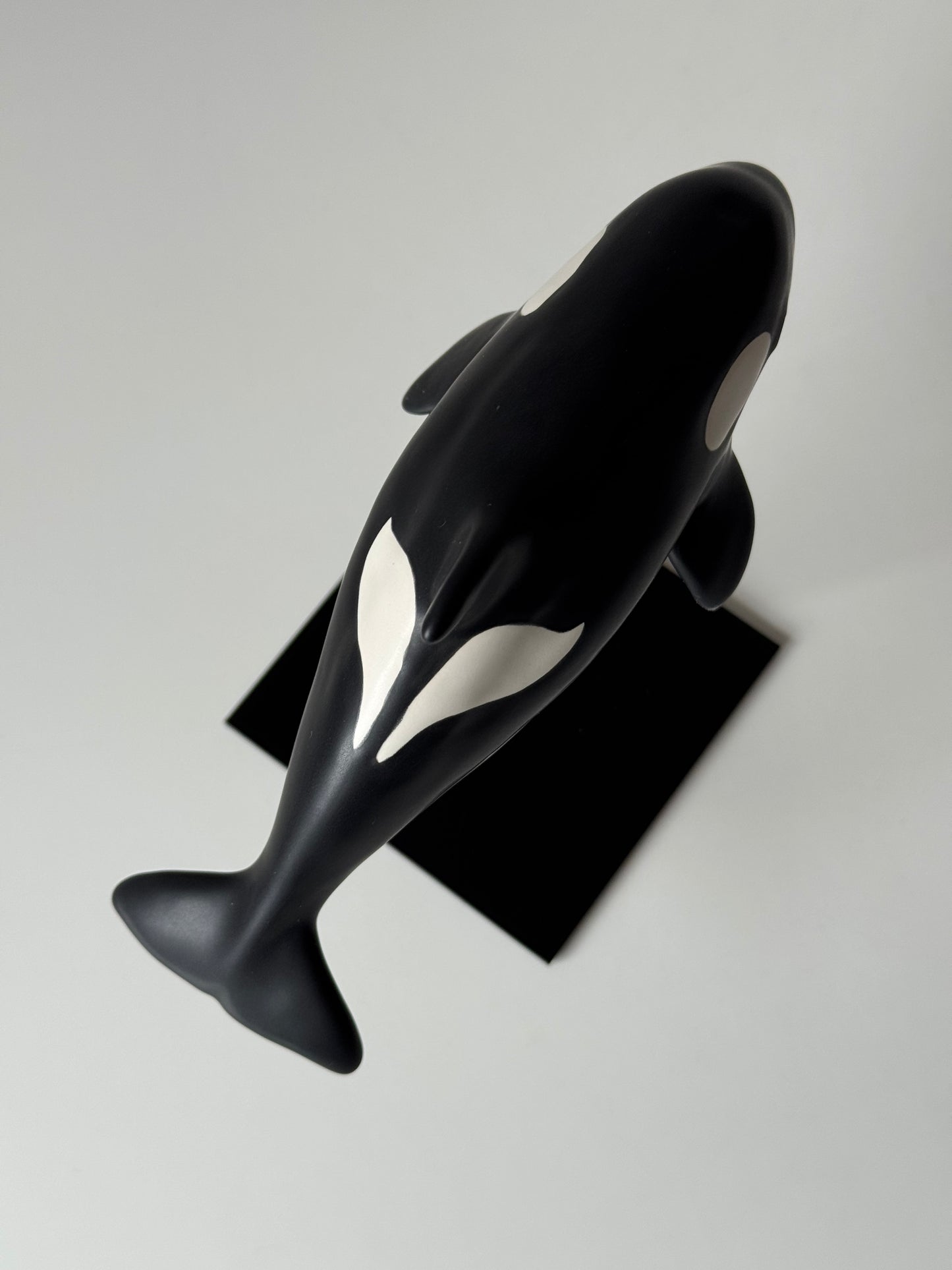 Baby Orca
