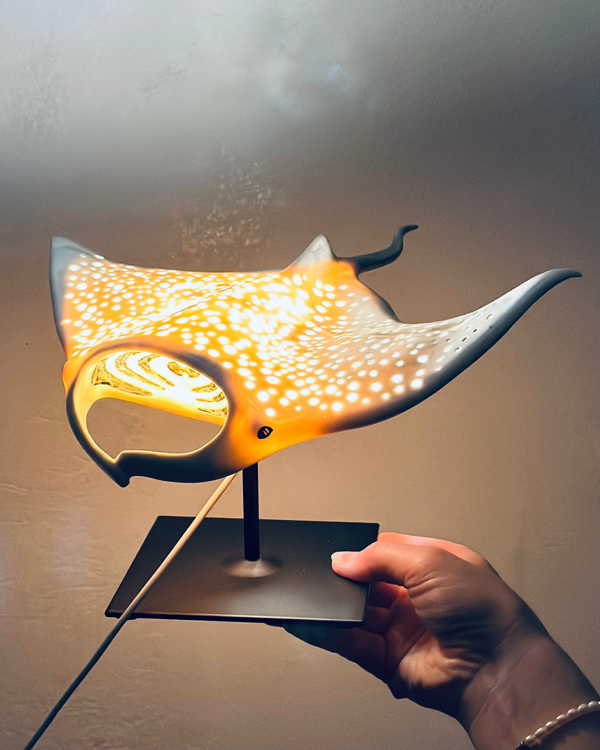 Big Manta Ray