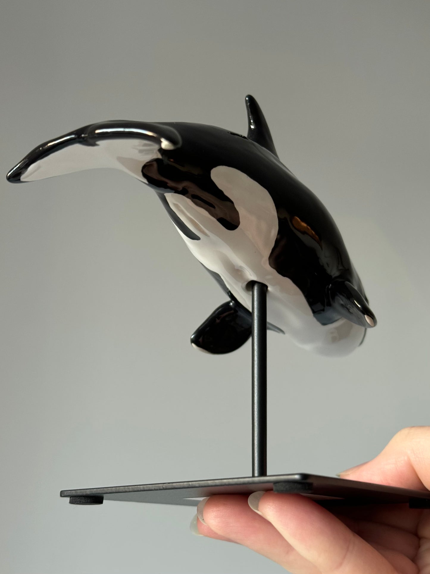 Baby Orca